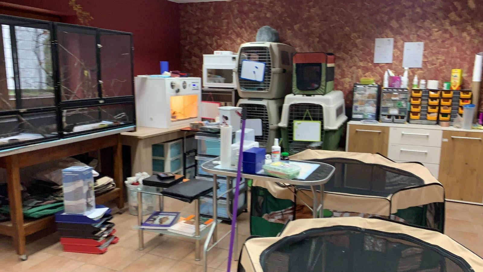 WhatsApp Image 2020-06-11 at 17.13.36-2.jpeg