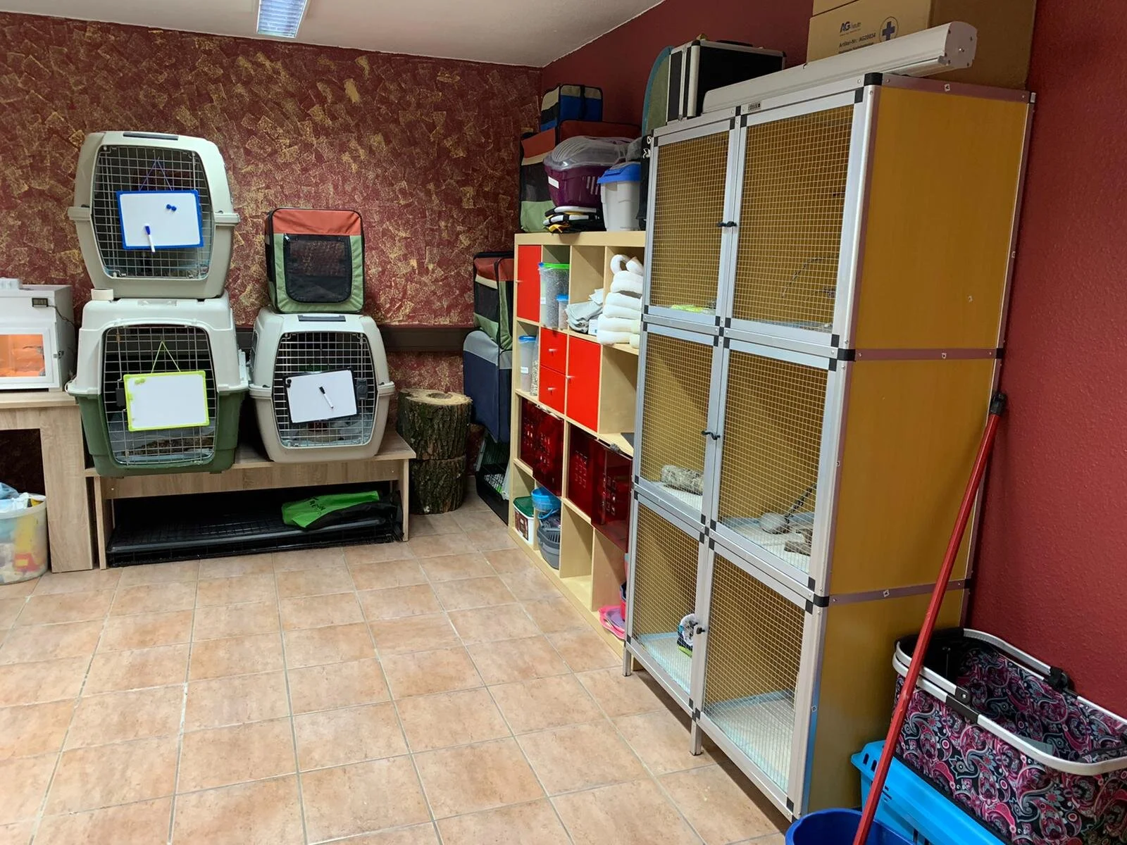 WhatsApp Image 2020-06-11 at 17.14.46-2.jpeg