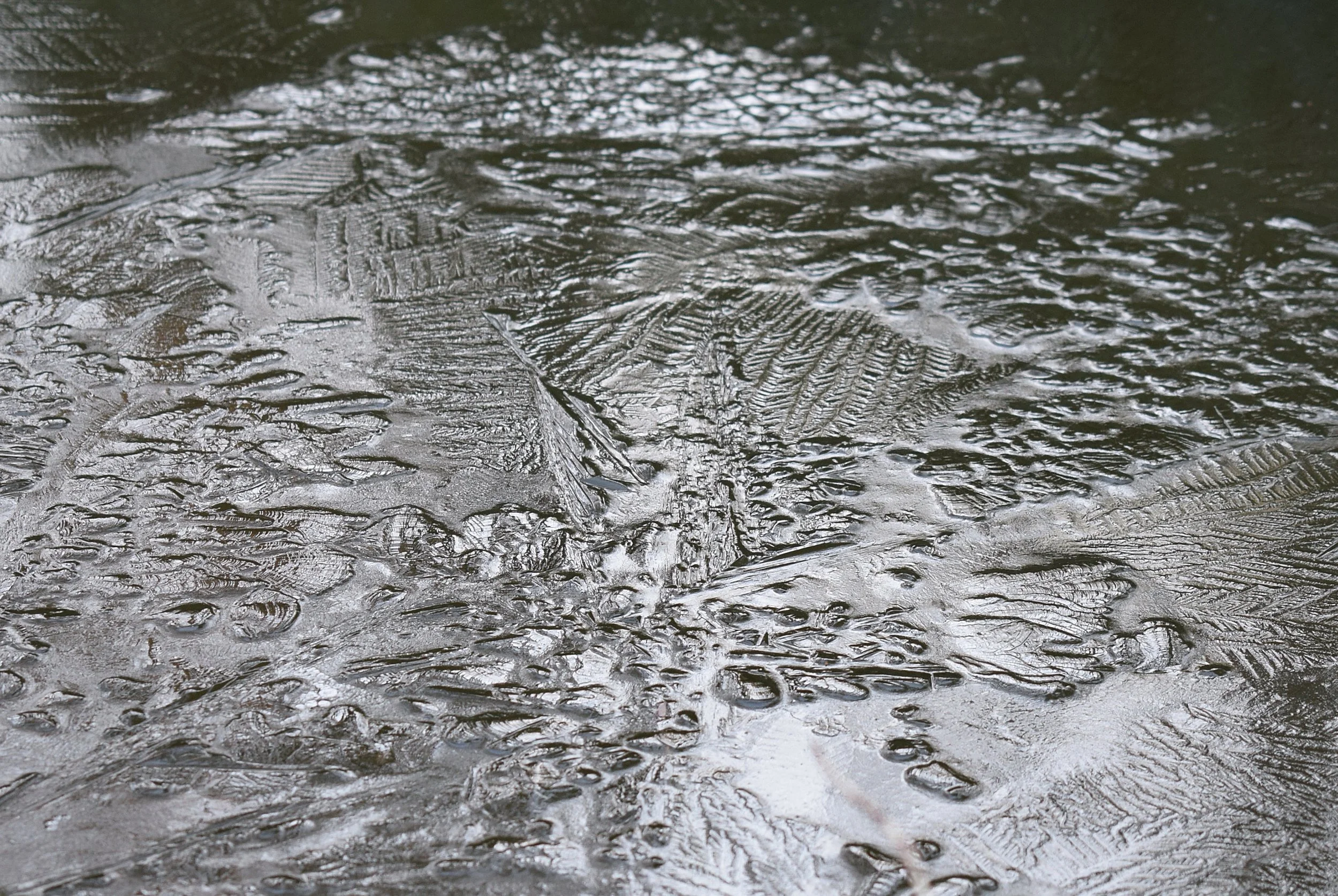 Photo by Jan Haerer on Unsplash