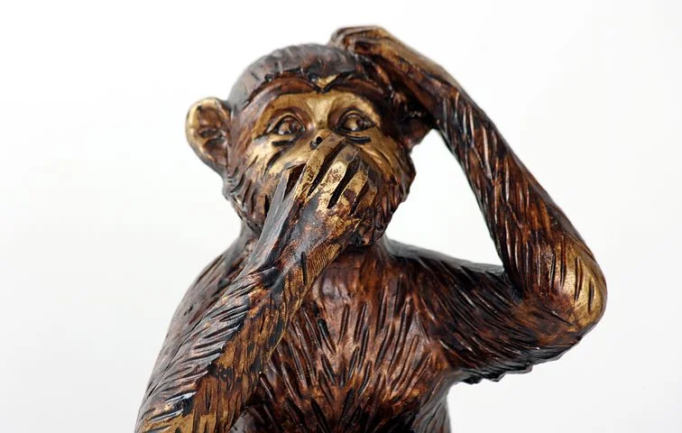 monkey-987886__480.jpg
