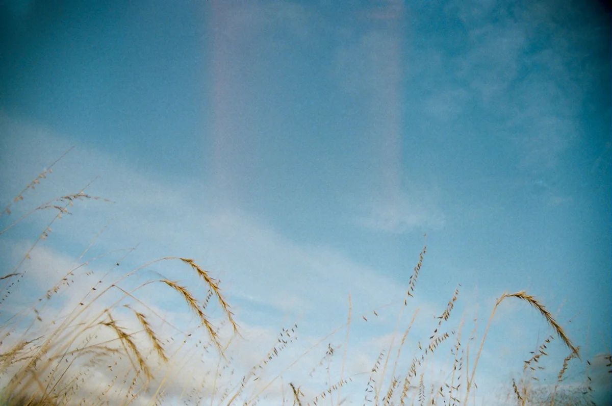 84160024-web.jpg