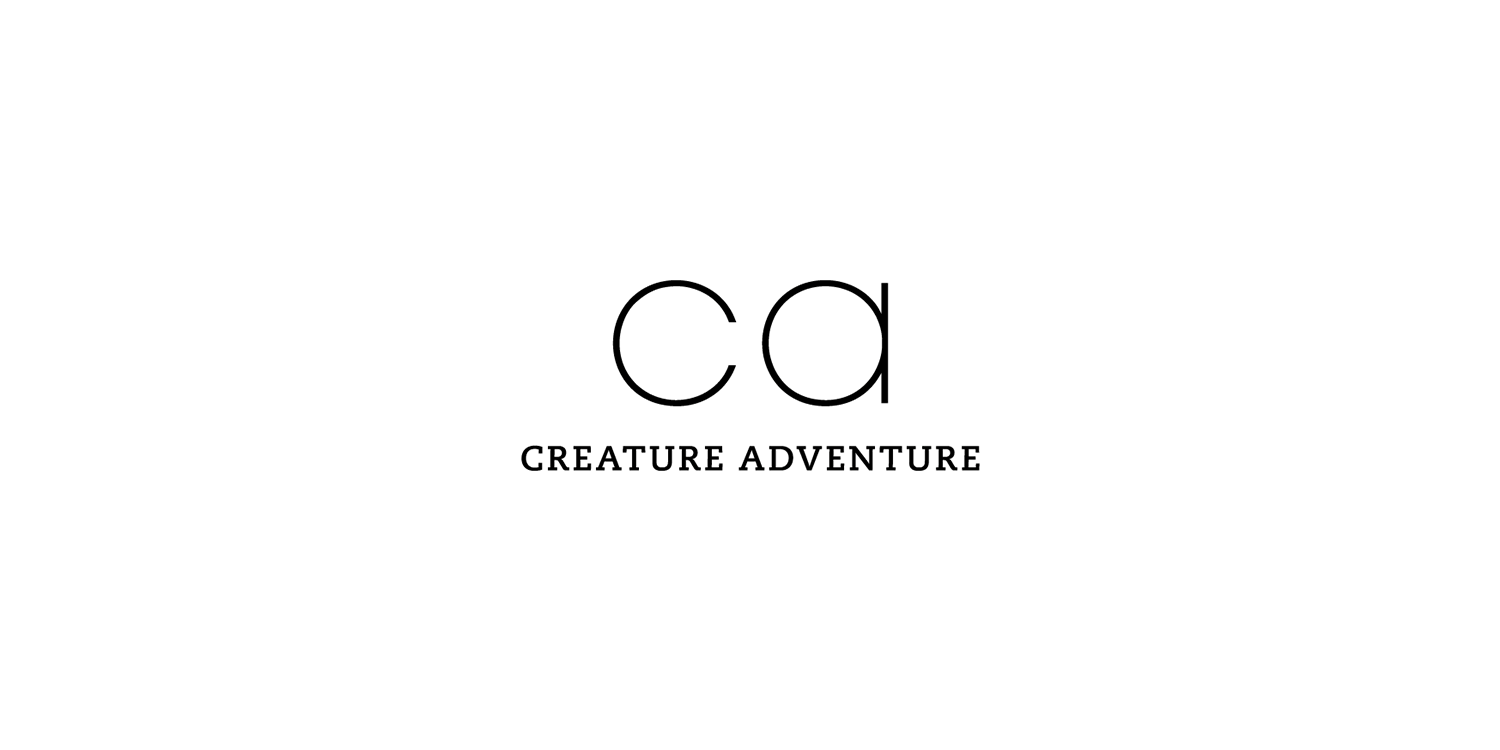 animated-logo.gif