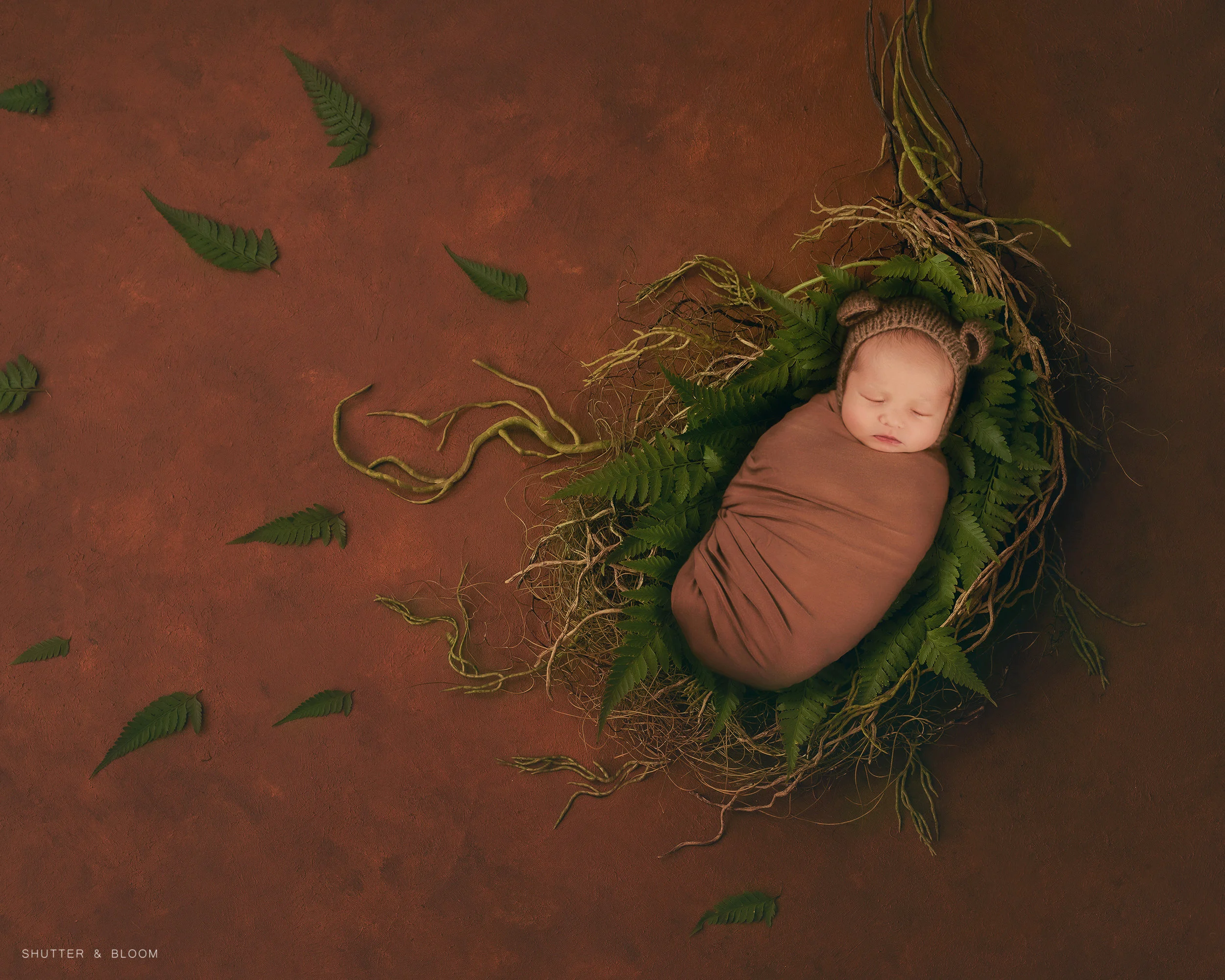 GROW LITTLE ONE