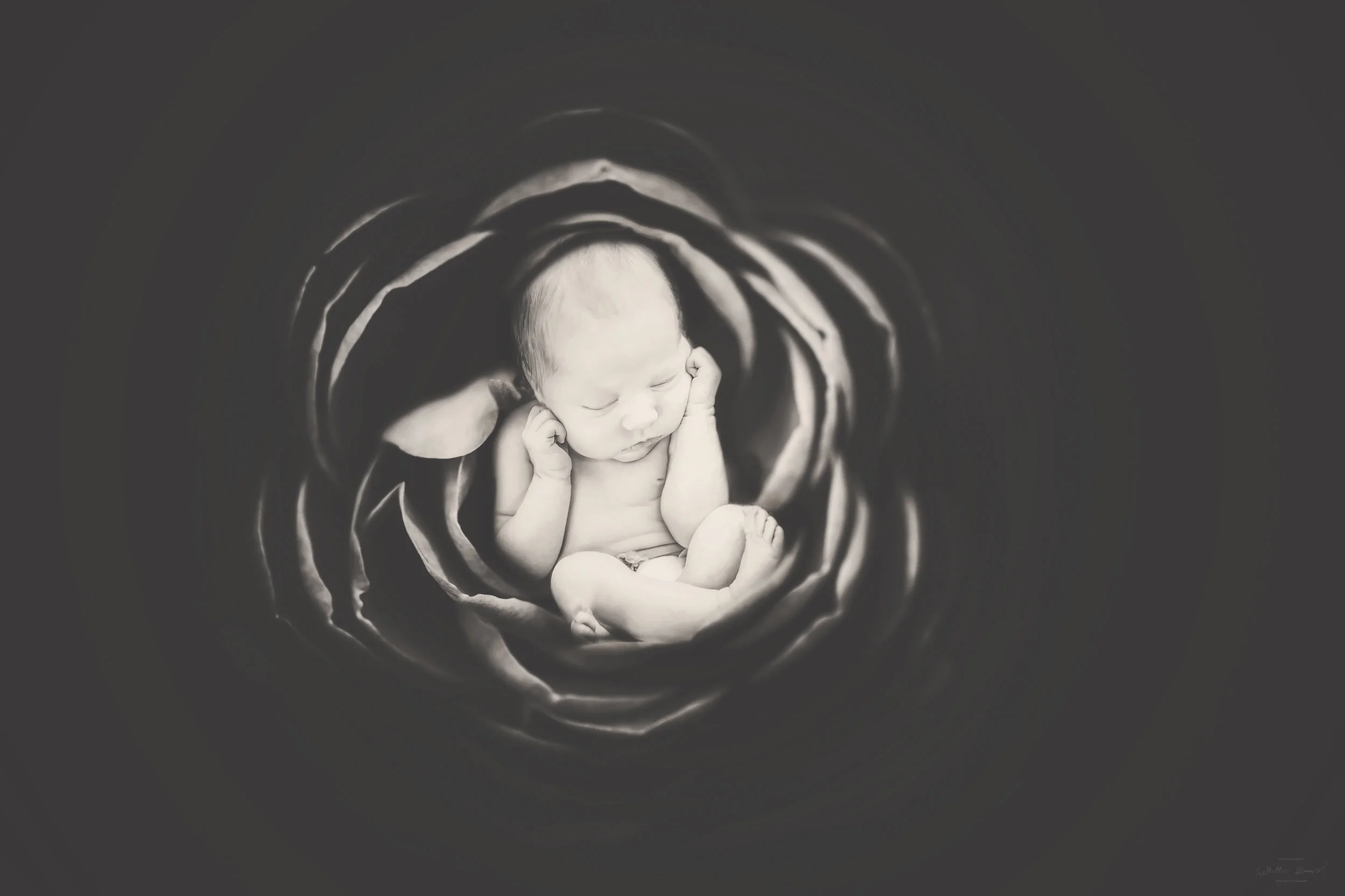 BloomBabyTeagan .jpg
