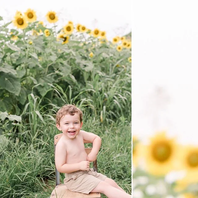 The sunflowers are almost gone so posting lots of sunny goodness til then. ❤️❤️🌻🌻🌻🌻