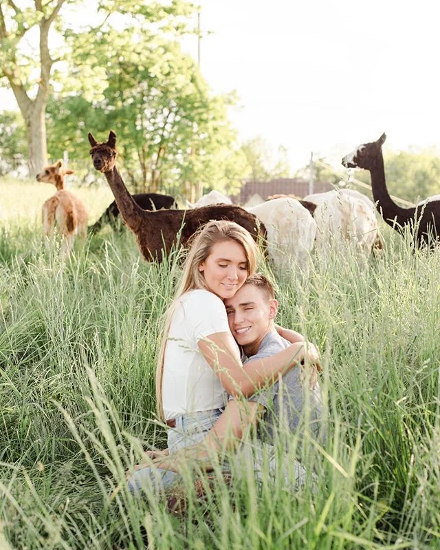 Y&rsquo;all...I have SO.MANY.SESSIONS from the summer (and spring 😬) that I haven&rsquo;t even shared like this amazing session of my little cousin and her handsome beau!! We went to @riverhillranch and had the best time getting to know some #alpaca