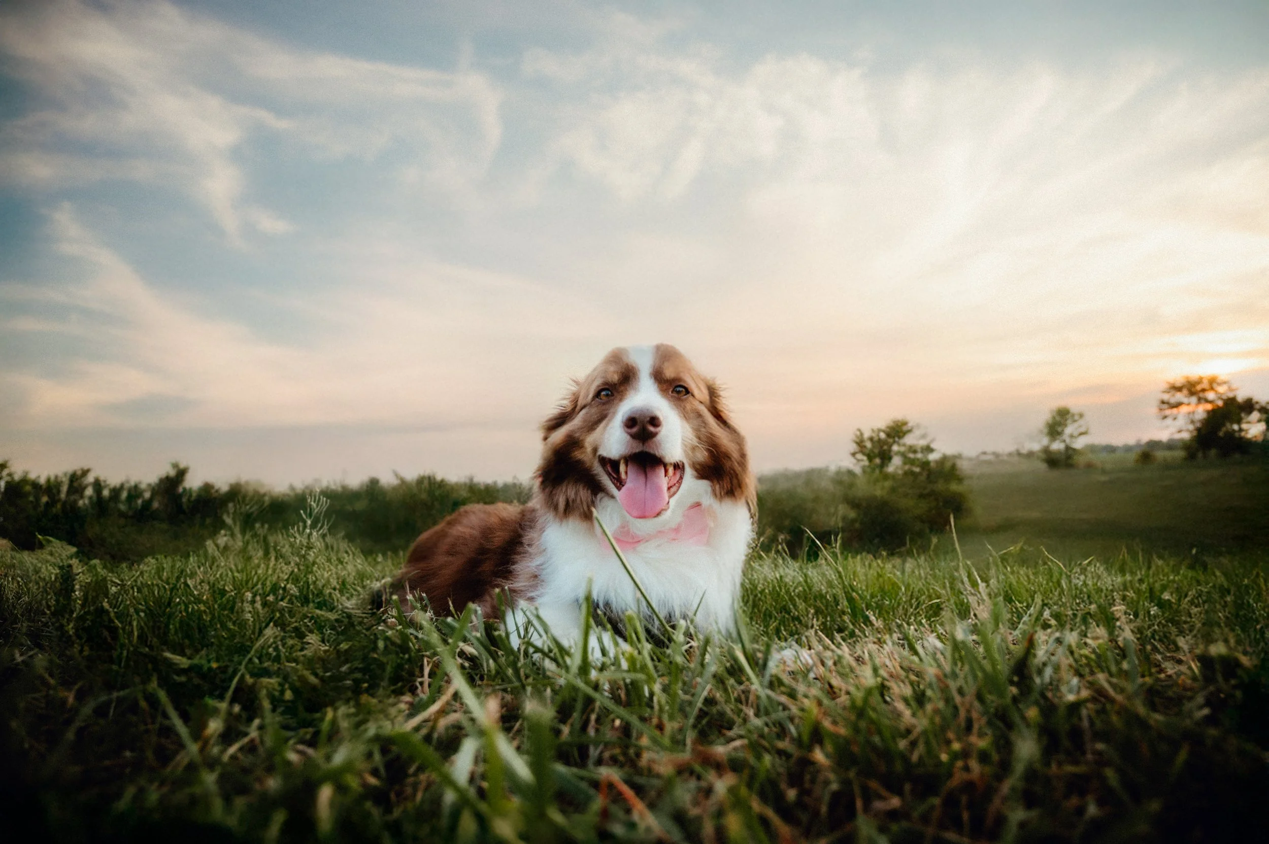 Shutter&BloomPhotography-942 (1).jpg