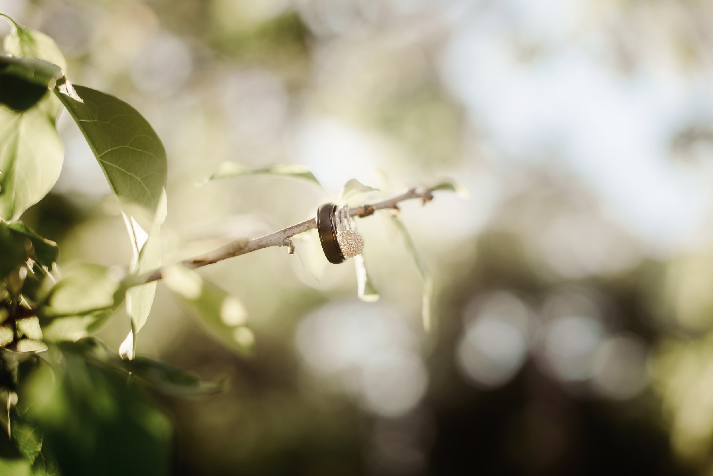 SHUTTER & BLOOM (435 of 564).JPG