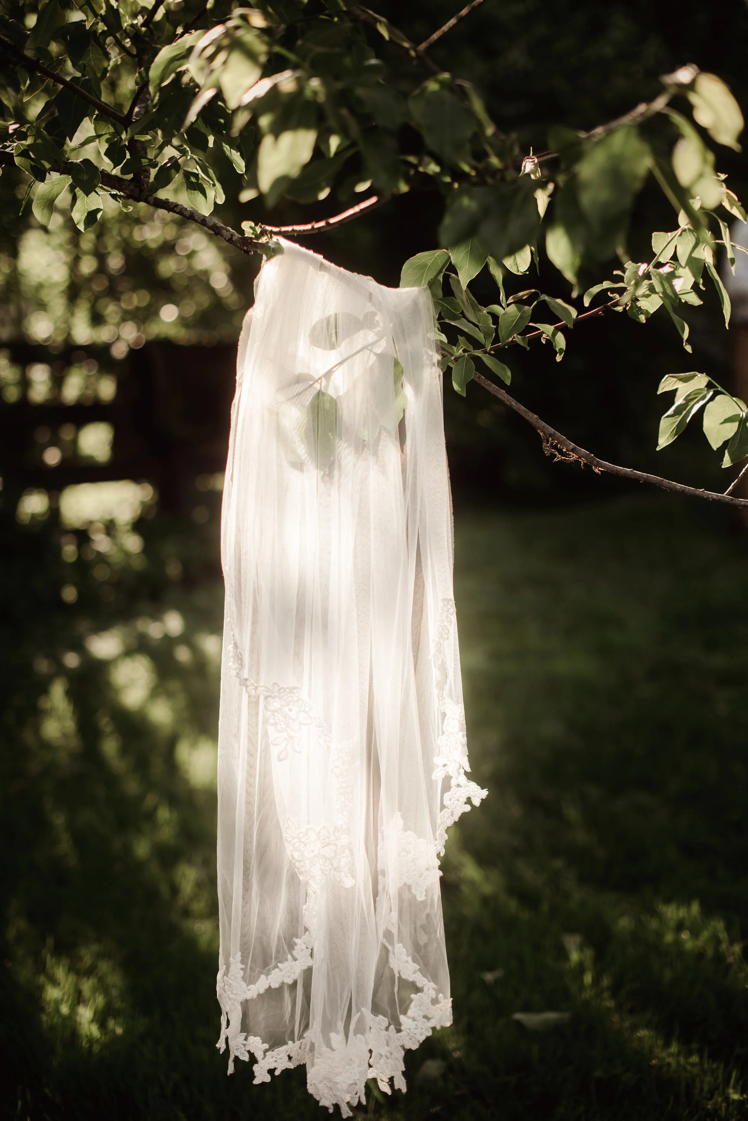 SHUTTER & BLOOM (433 of 564).JPG