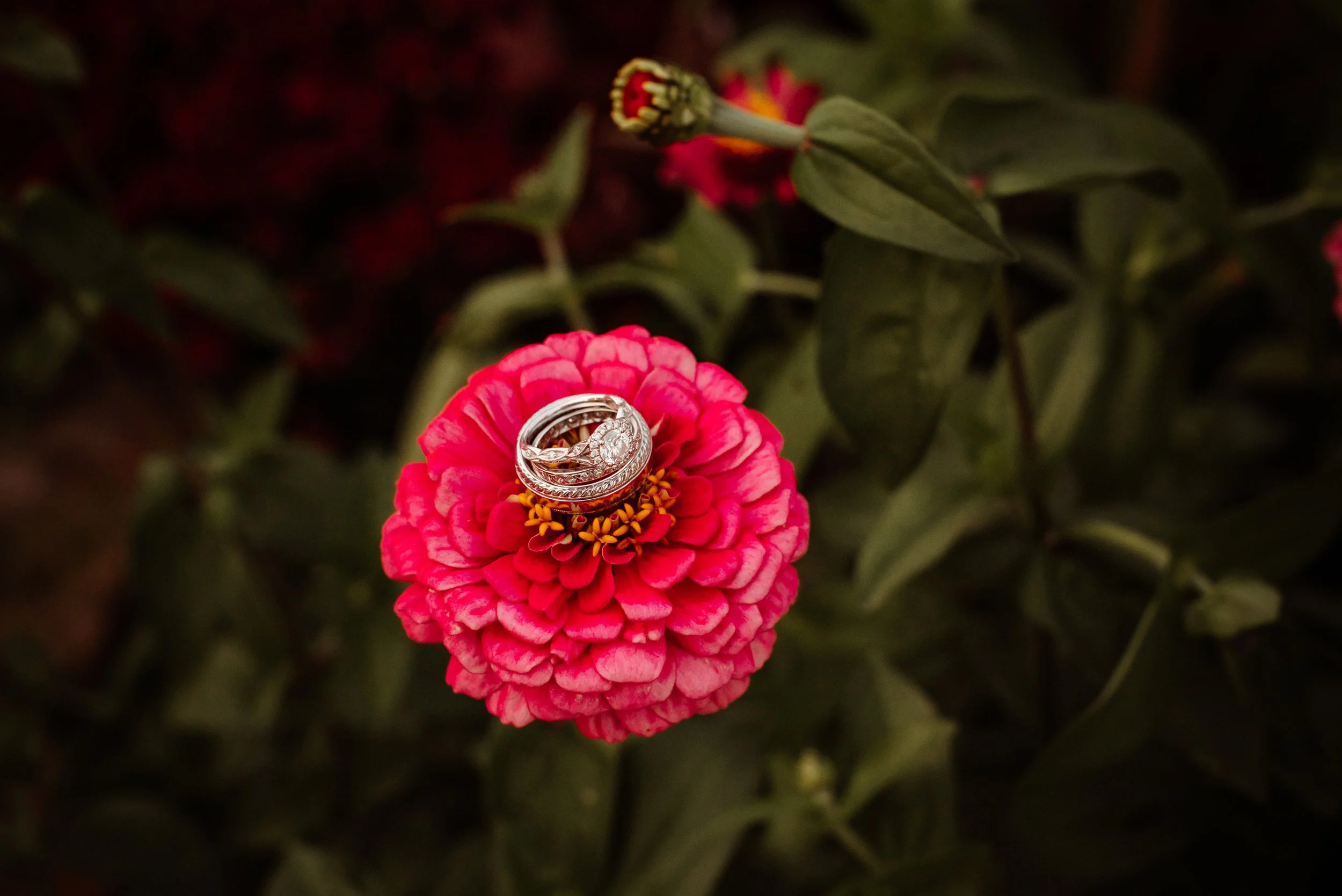 Shutter & Bloom Photo Co -786.jpg