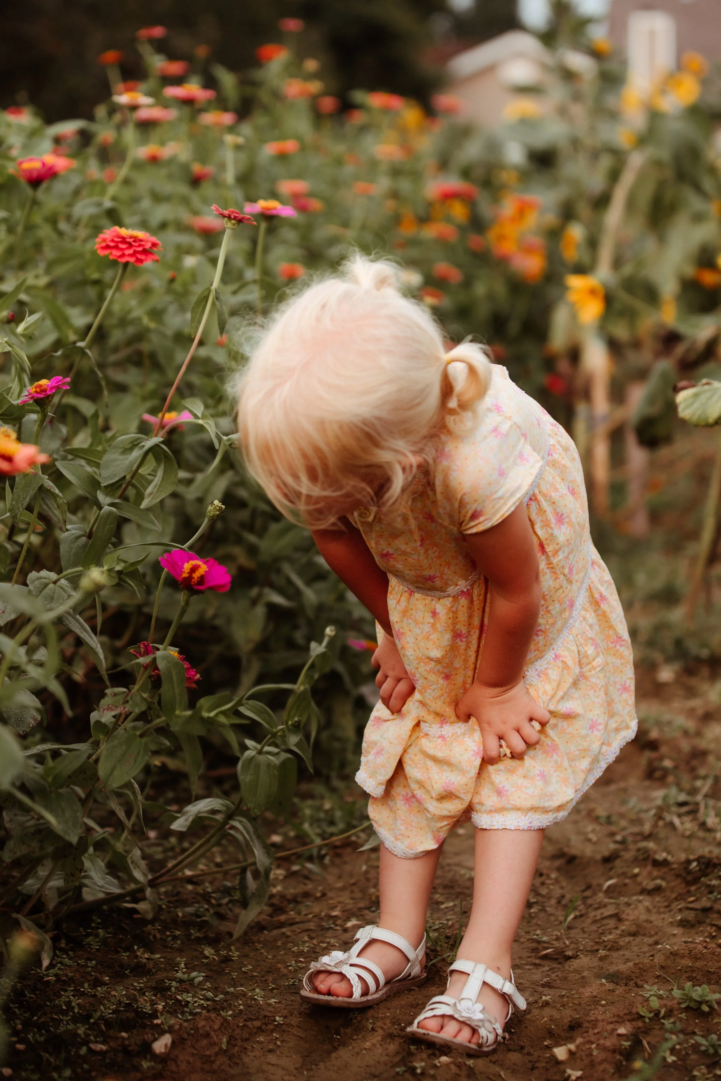 Shutter & Bloom Photo Co -725.jpg