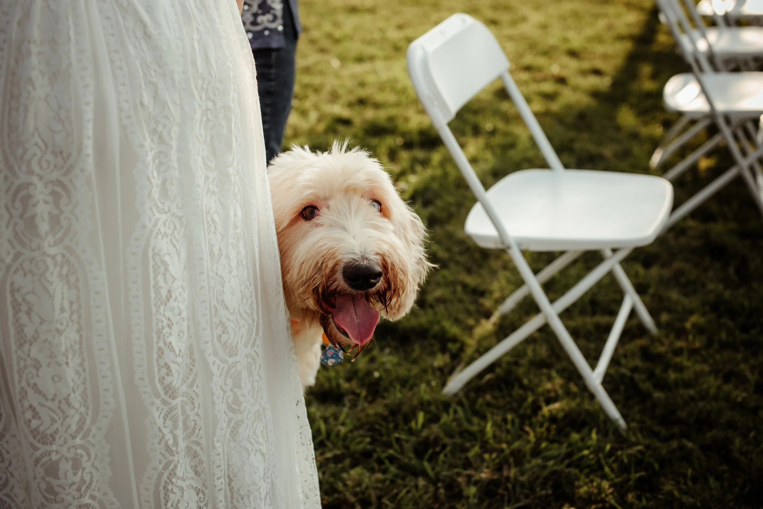 Shutter & Bloom Photo Co -419.jpg