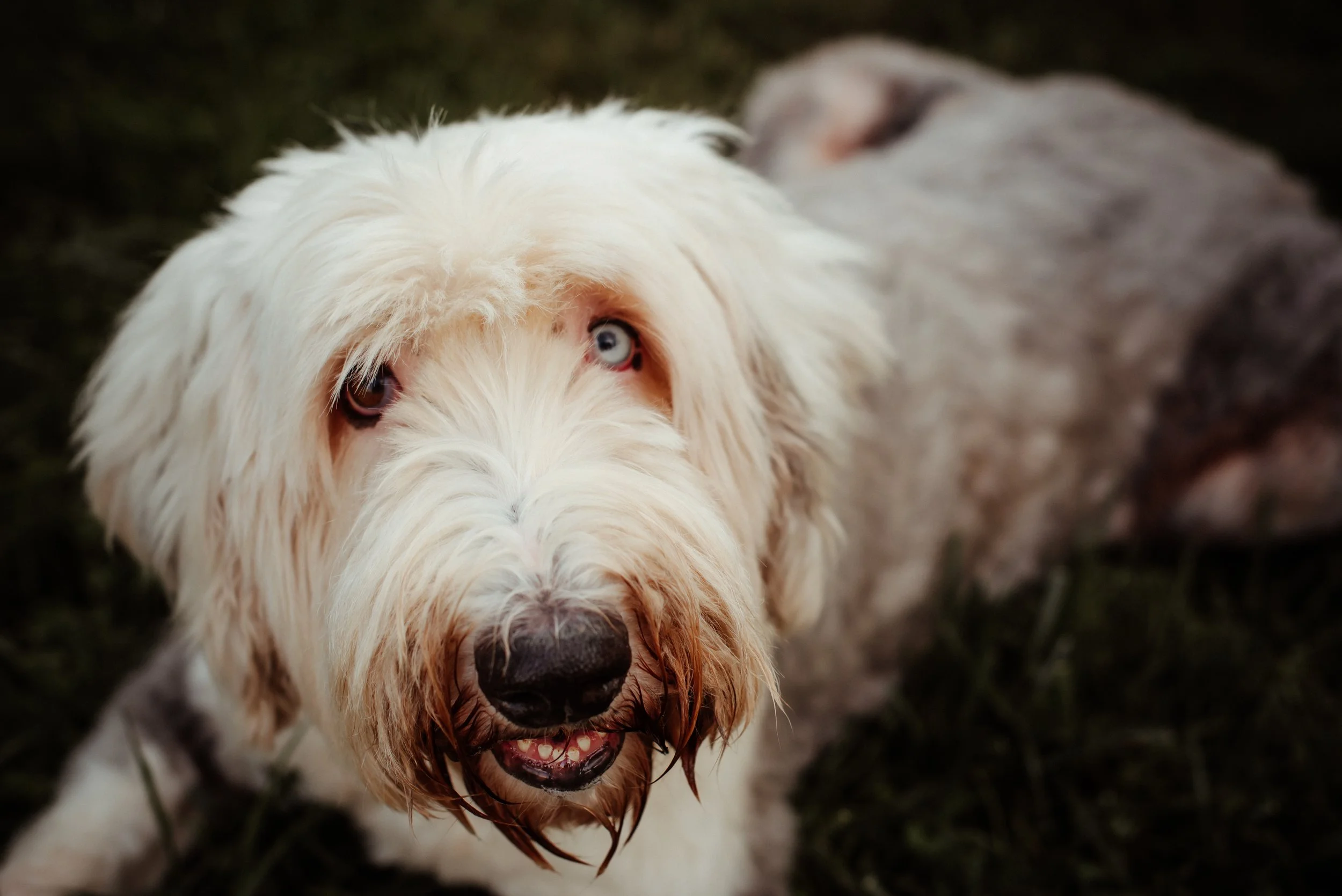 Shutter & Bloom Photo Co -319.jpg