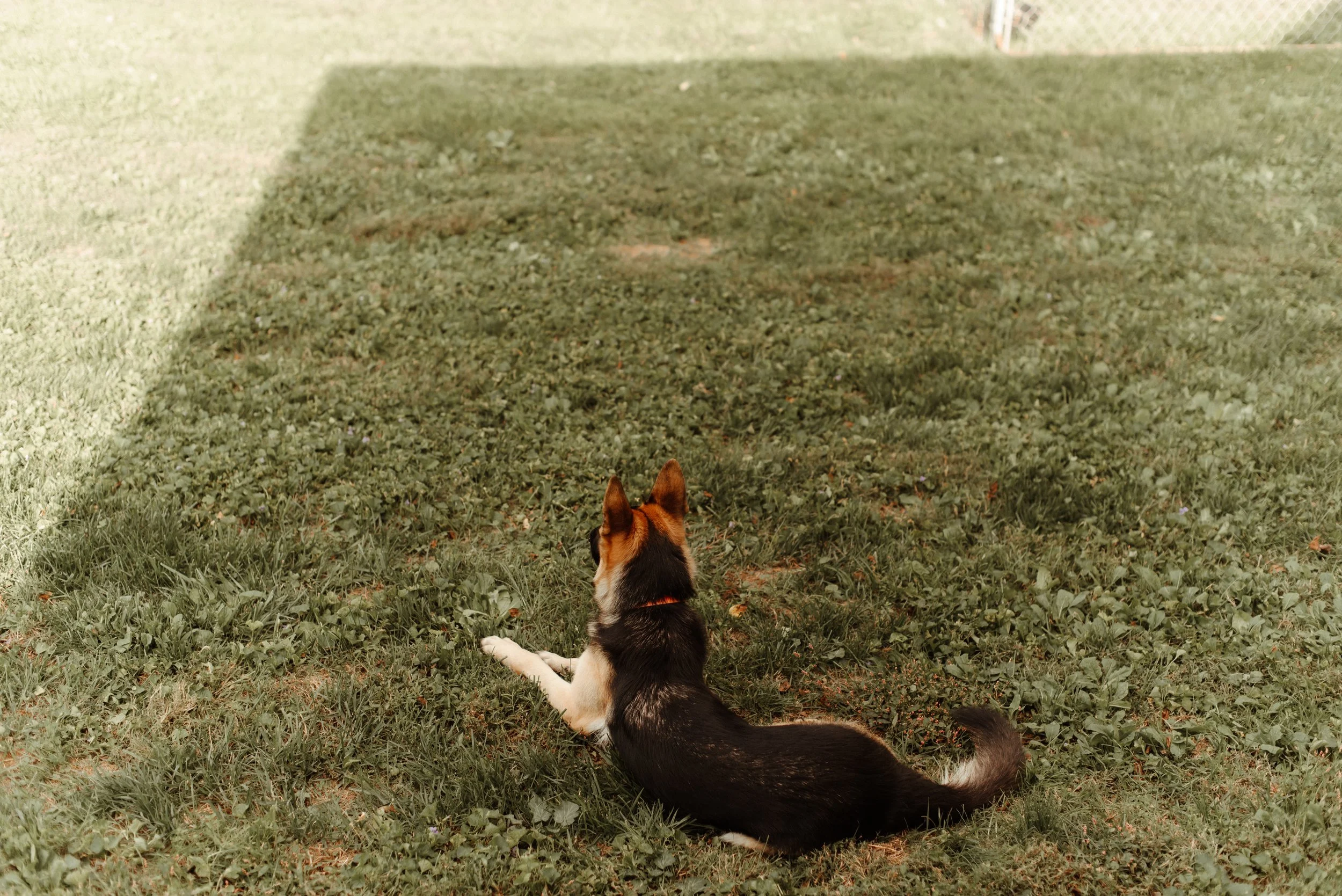 Shutter & Bloom Photo Co -94.jpg