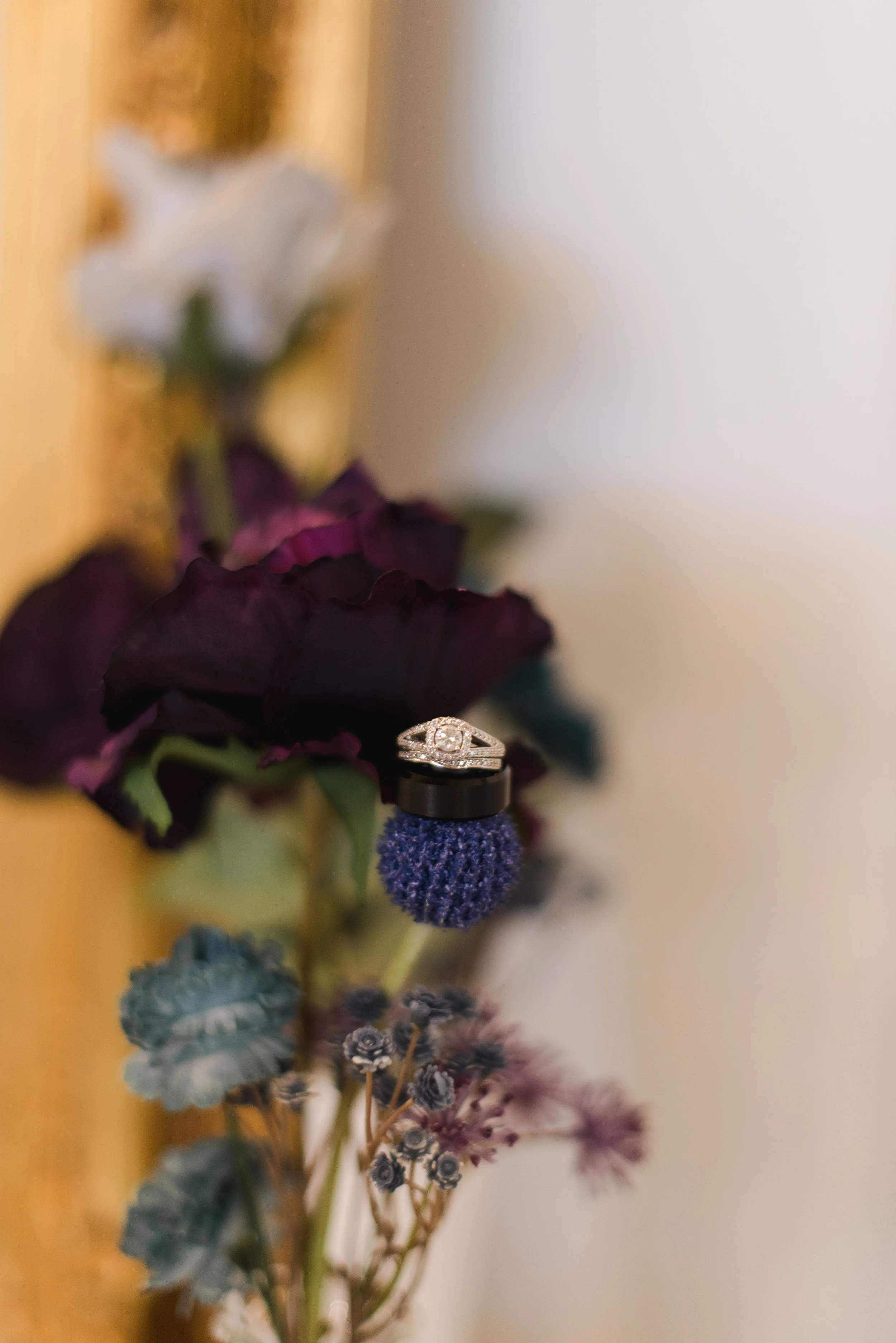 shutter&bloom (10 of 929).JPG