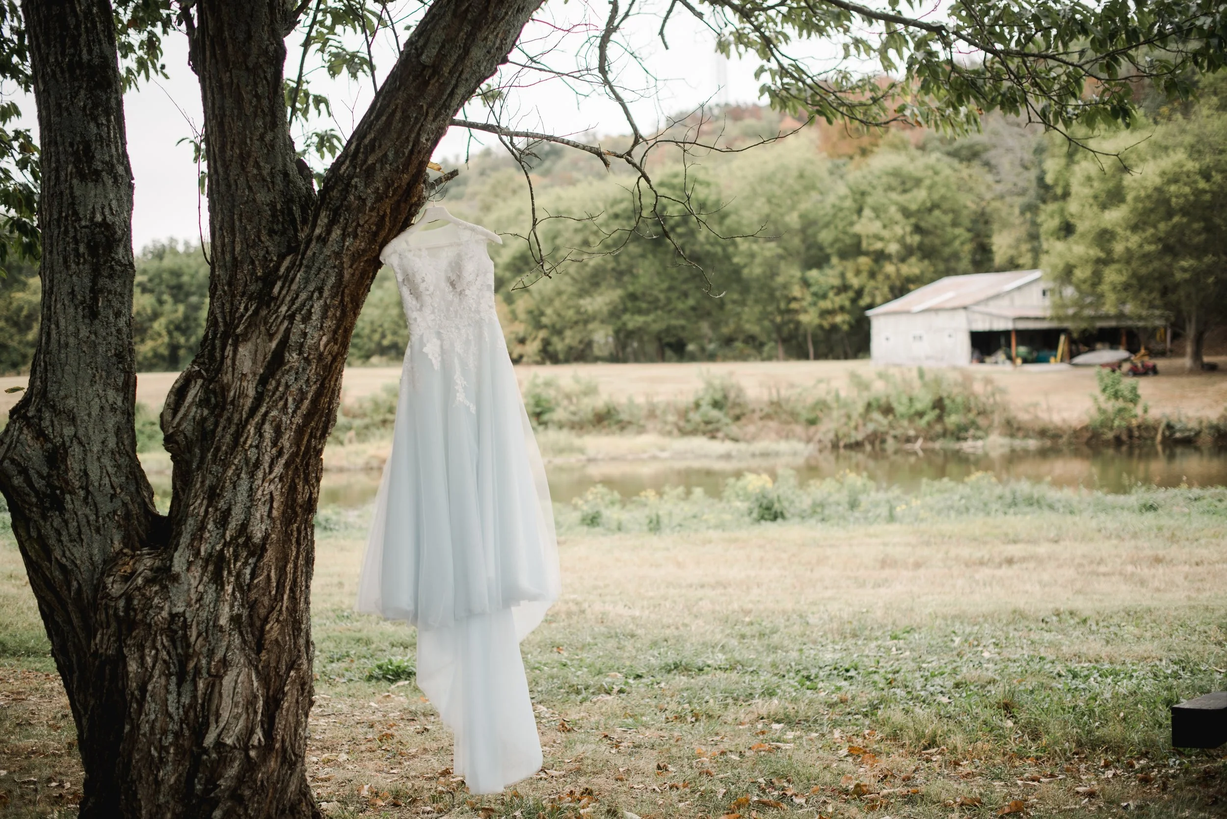 shutter&bloom (19 of 929).JPG