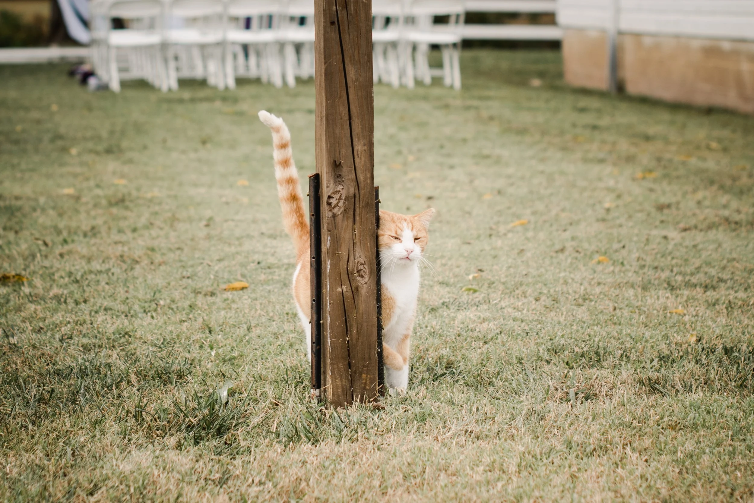 shutter&bloom (223 of 929).JPG