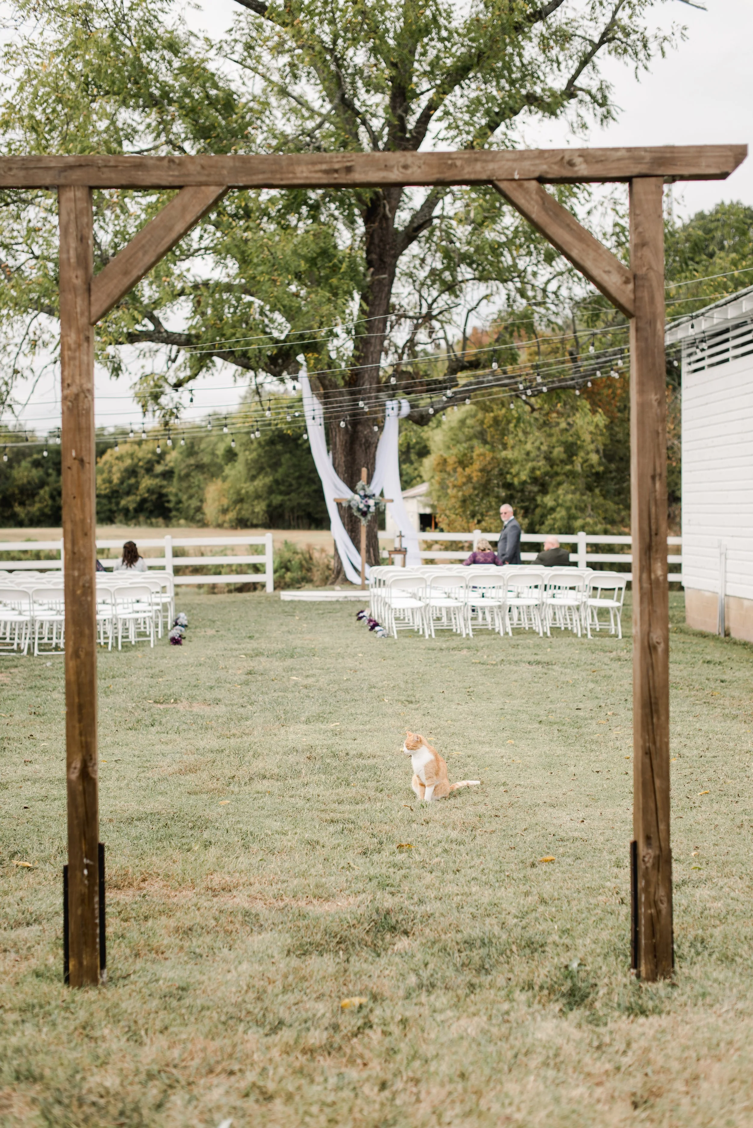 shutter&bloom (221 of 929).JPG