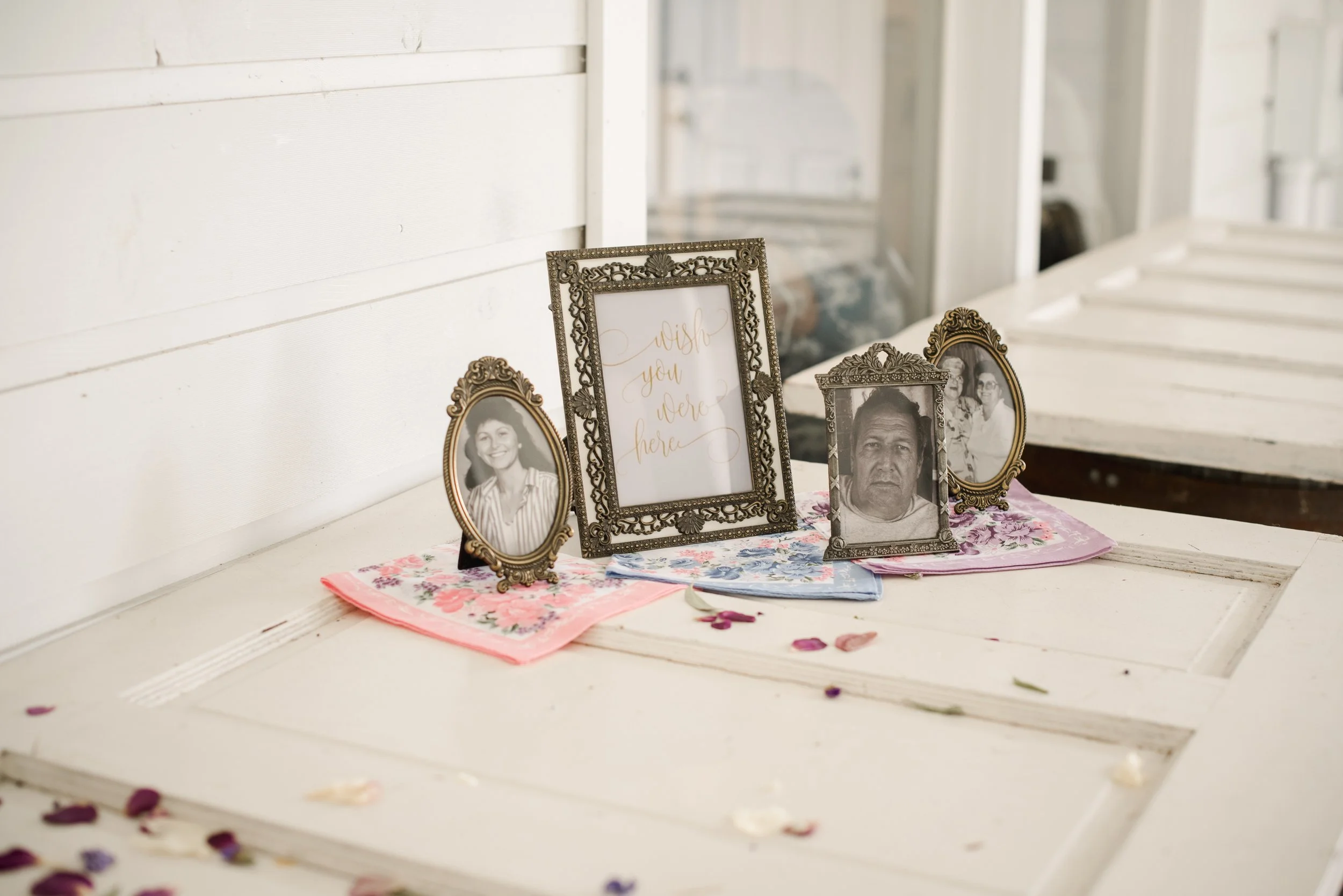 shutter&bloom (232 of 929).JPG