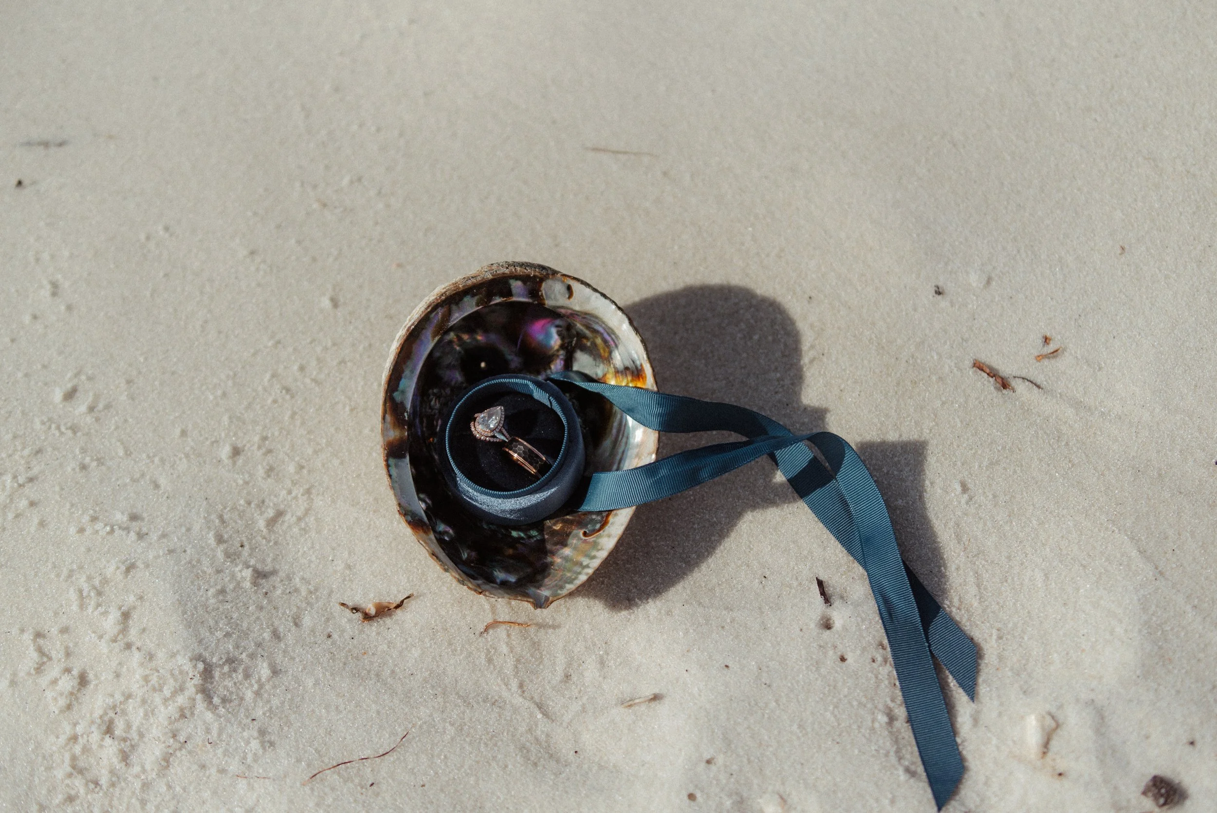 Shutter & Bloom Photo Co-3.jpg