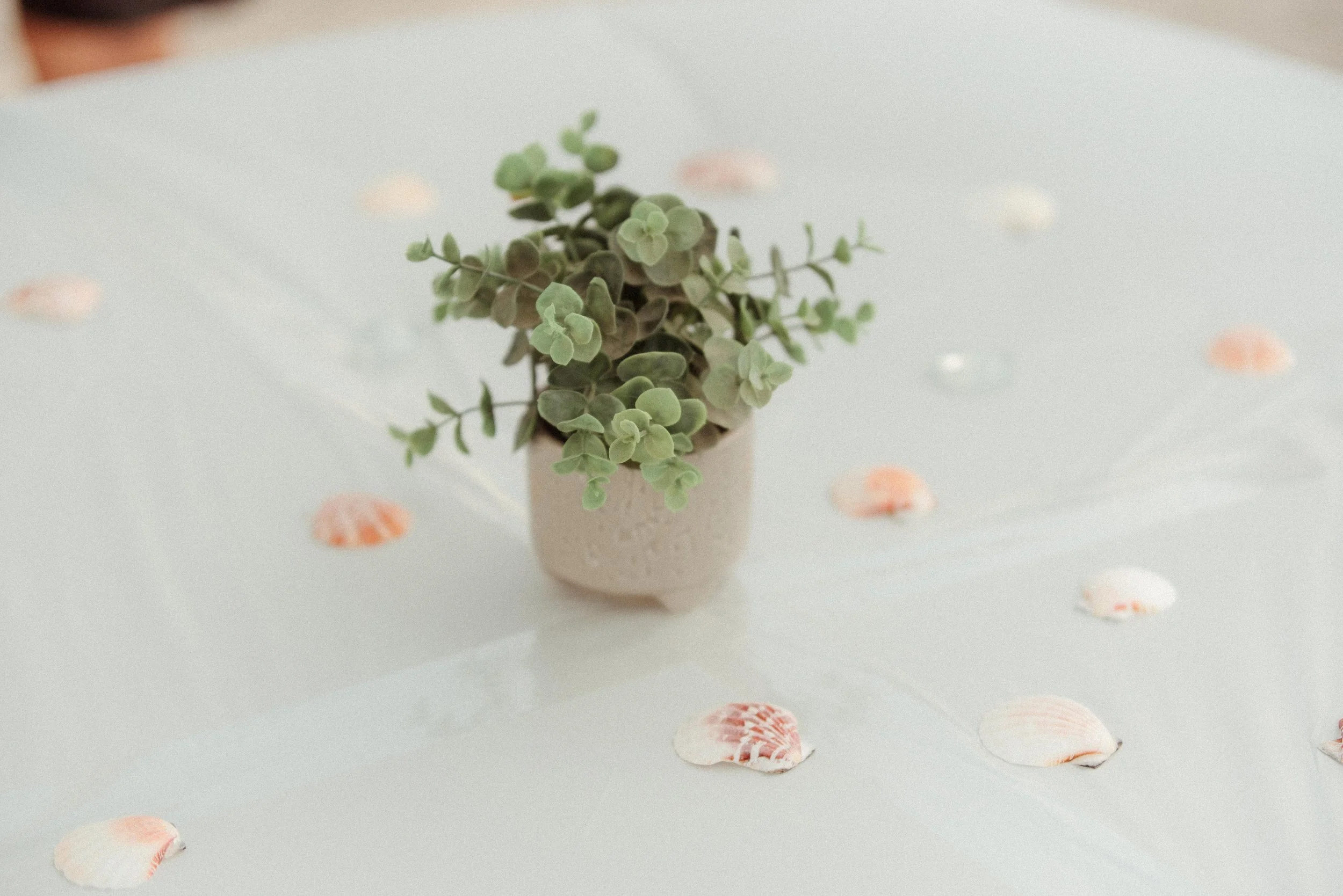 Shutter & Bloom Photo Co-15.jpg