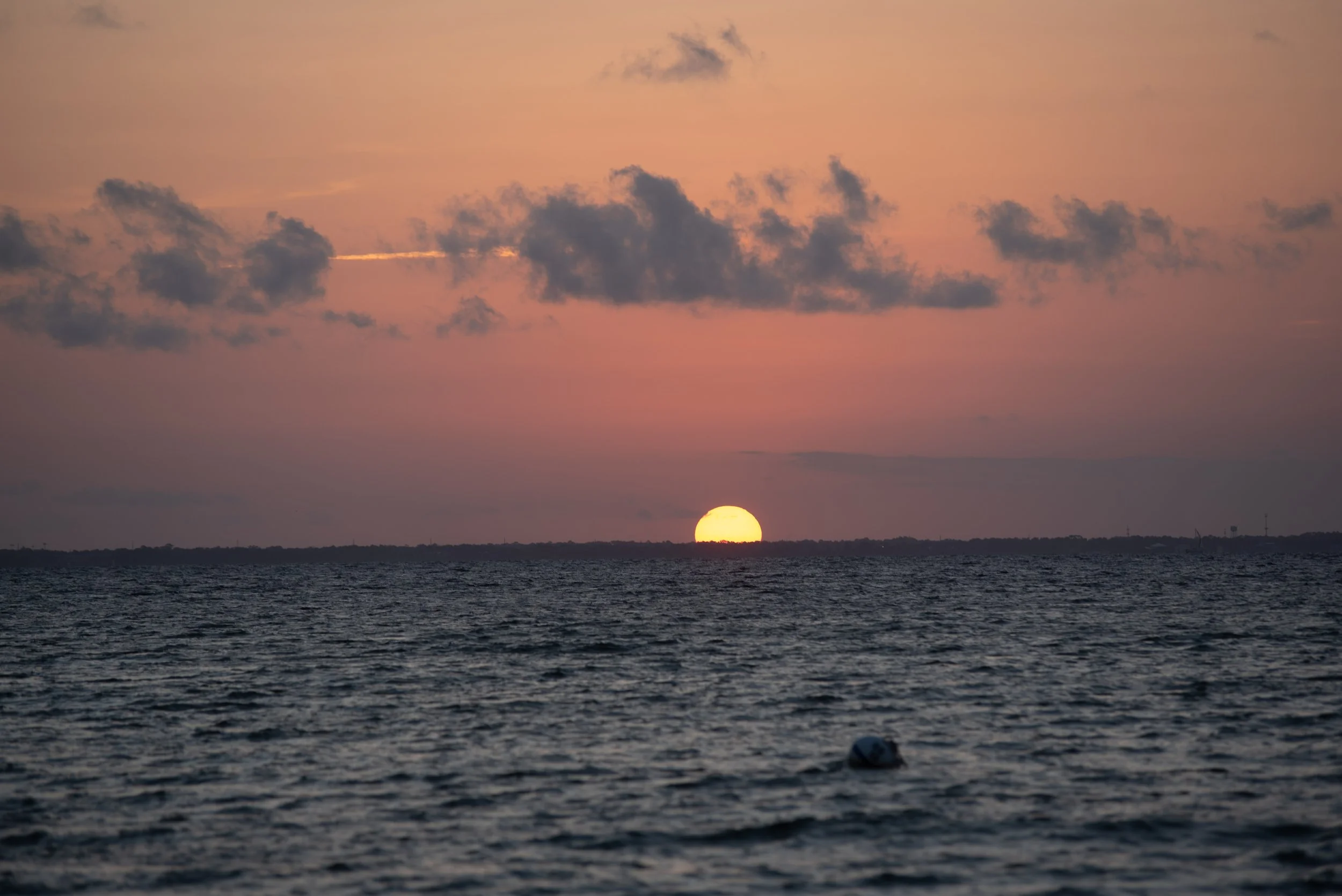 Shutter & Bloom Photo Co-350.jpg