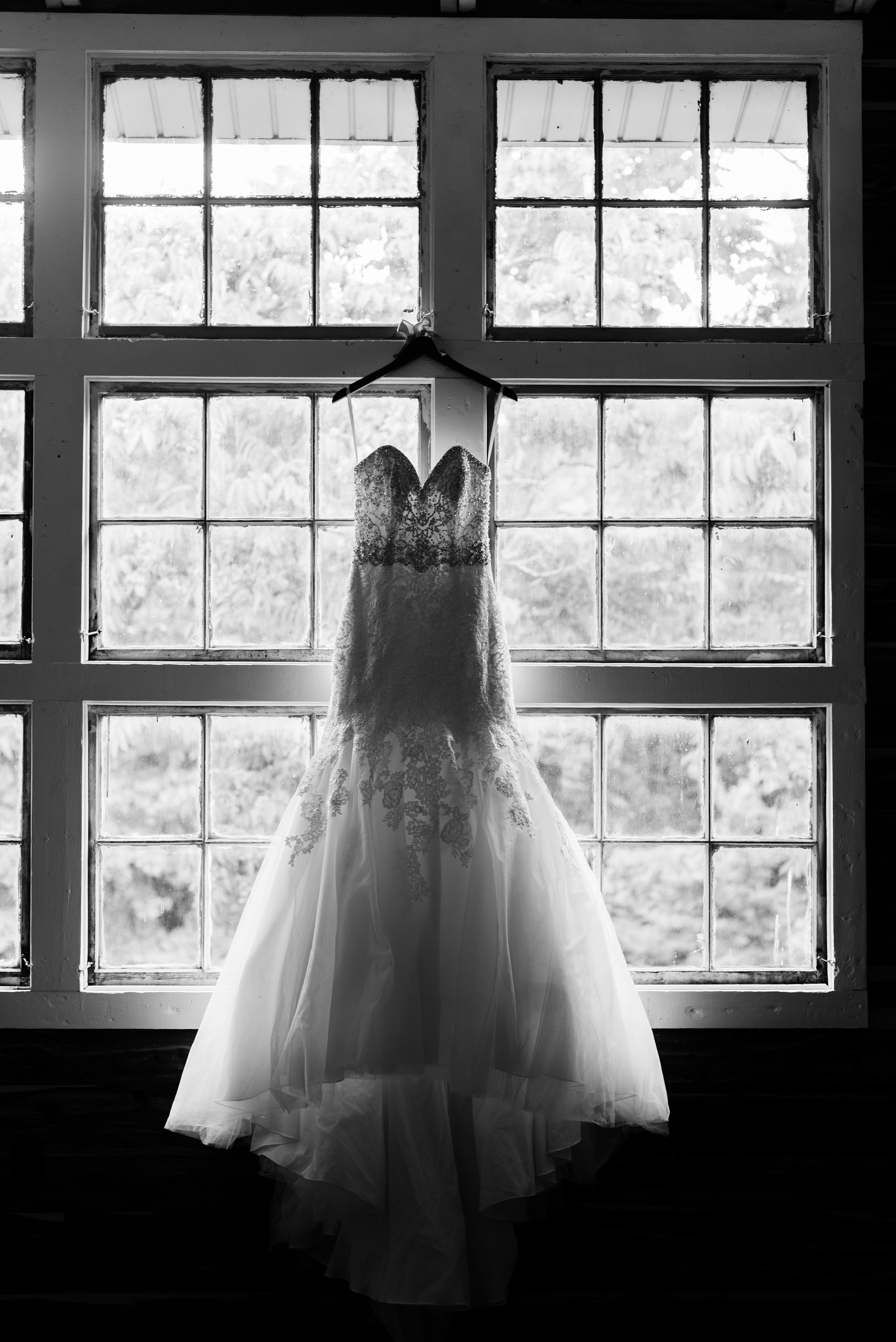 shutter&bloom (16 of 797).jpg