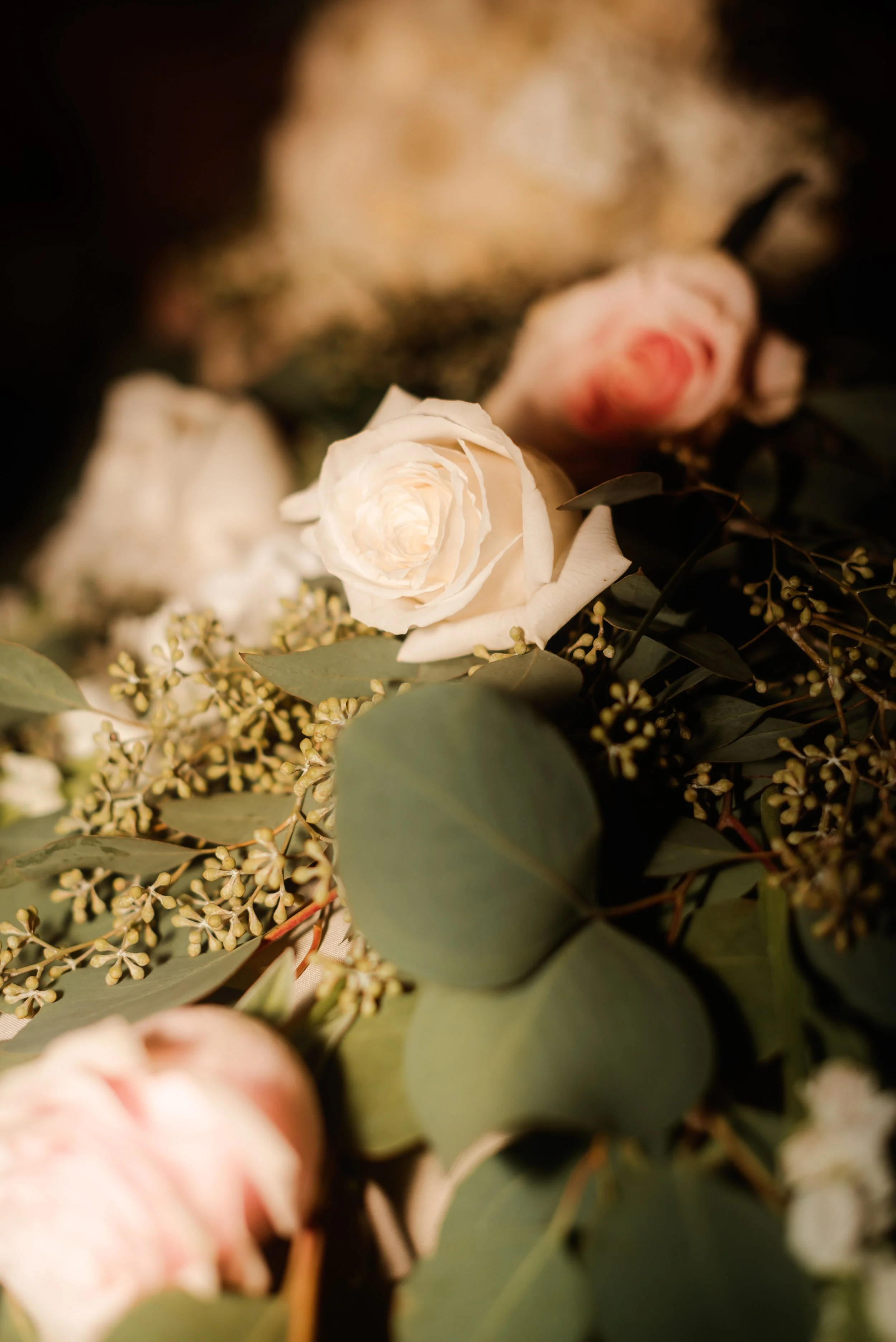 SHUTTER & BLOOM-printing is ok!! (723 of 1011).JPG