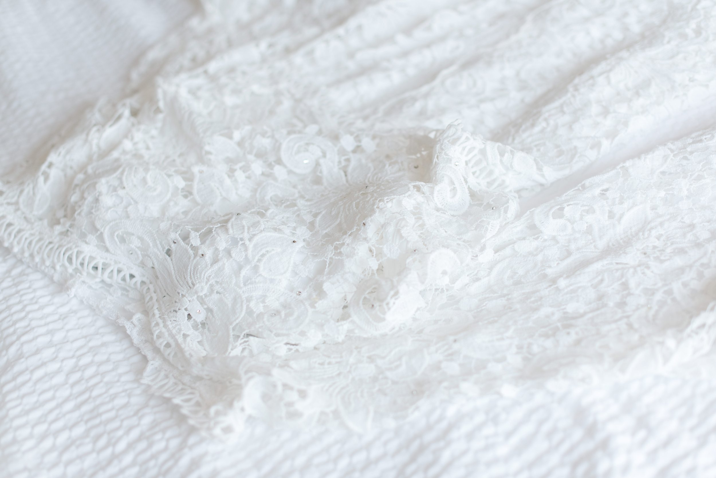 shutter&bloom (25 of 563).jpg