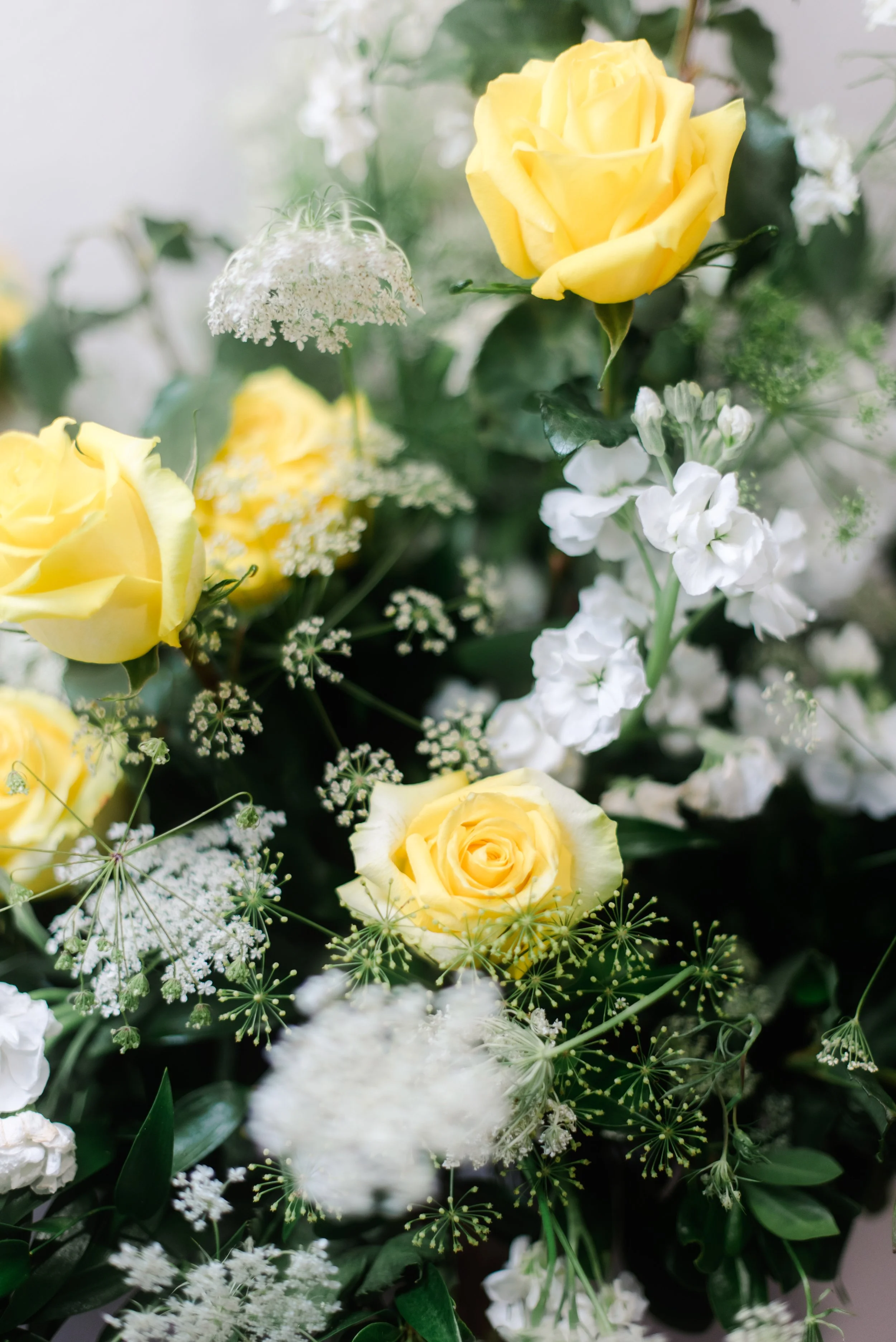 shutter&bloom (37 of 563).jpg