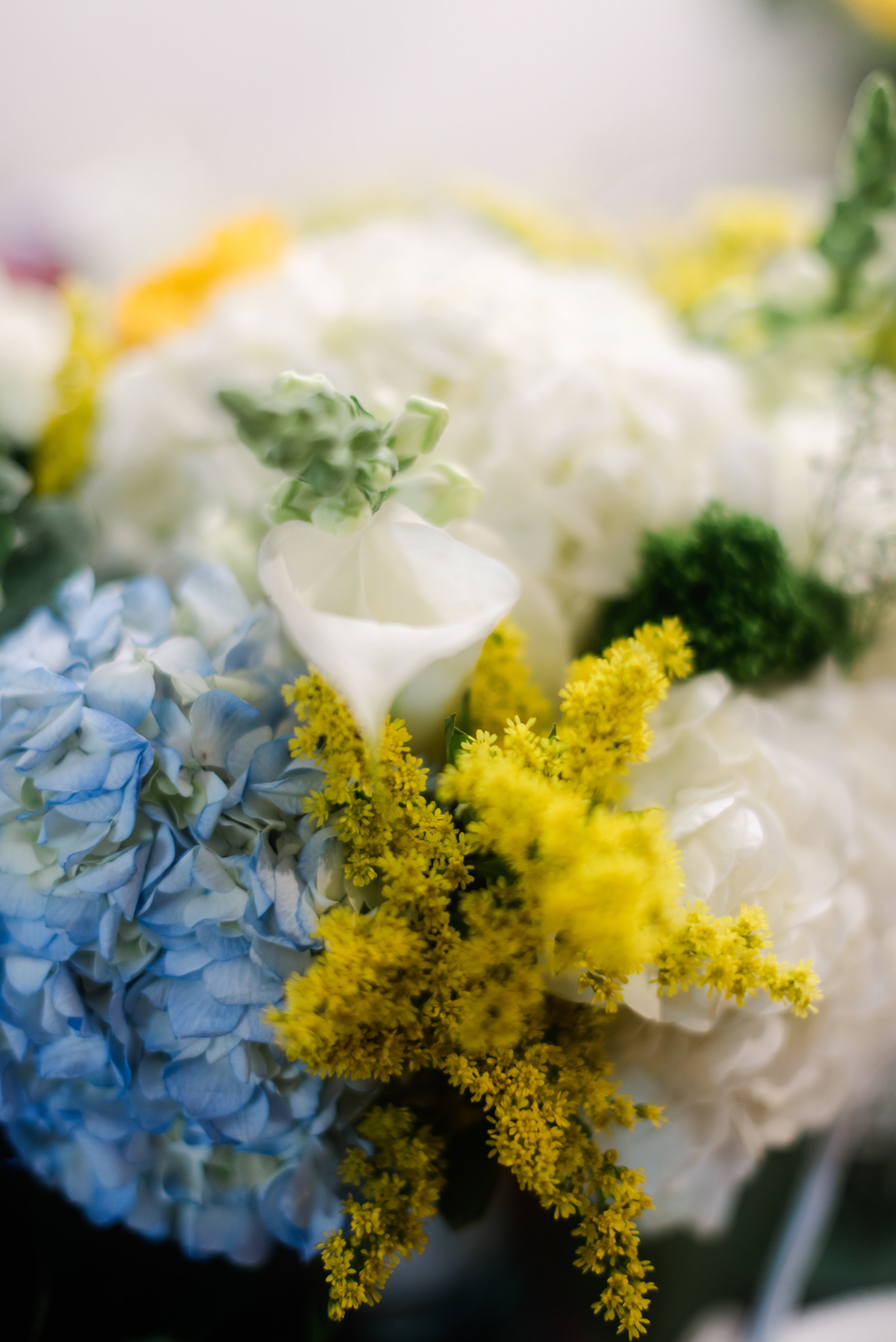 shutter&bloom (40 of 563).jpg