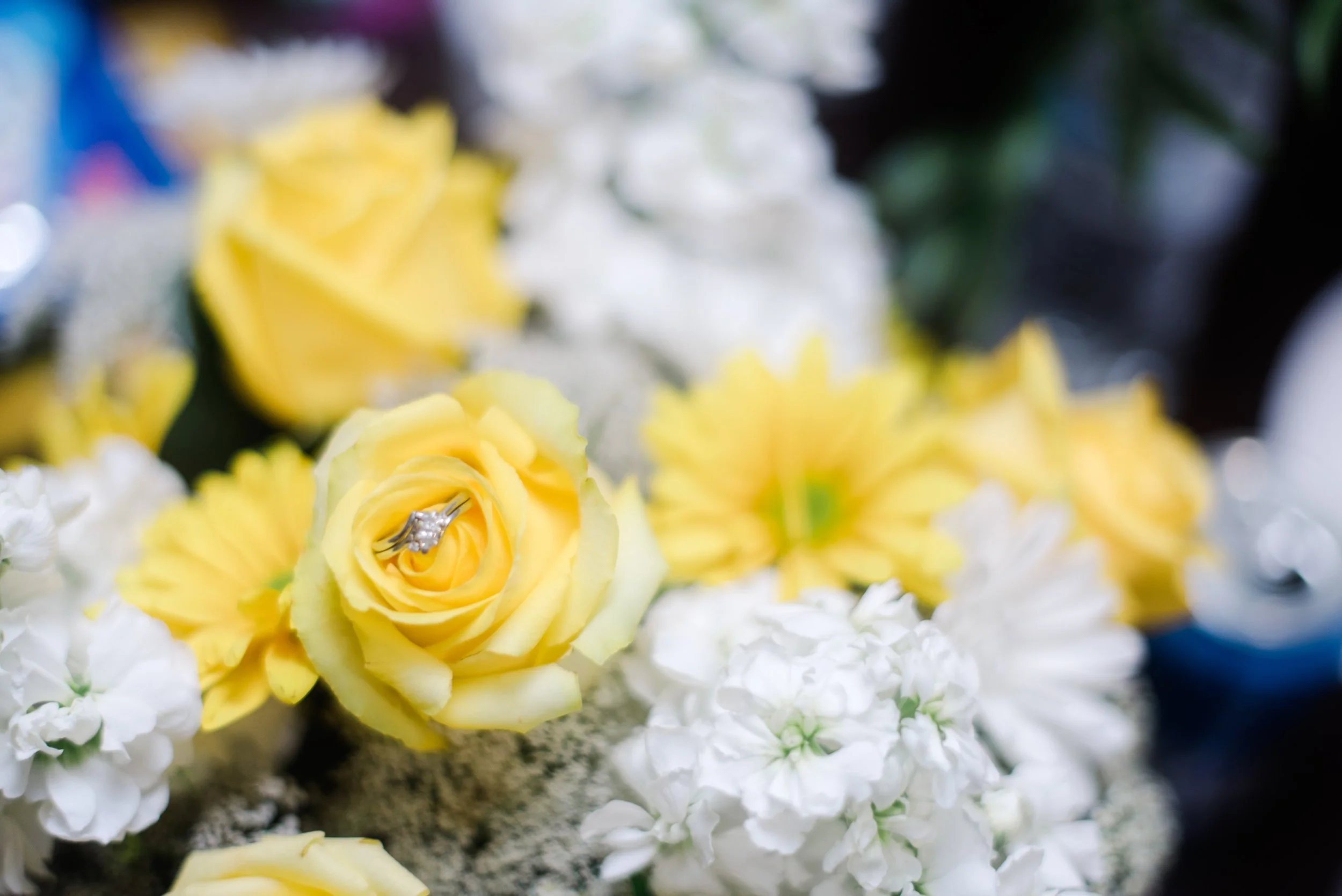 shutter&bloom (61 of 563).jpg