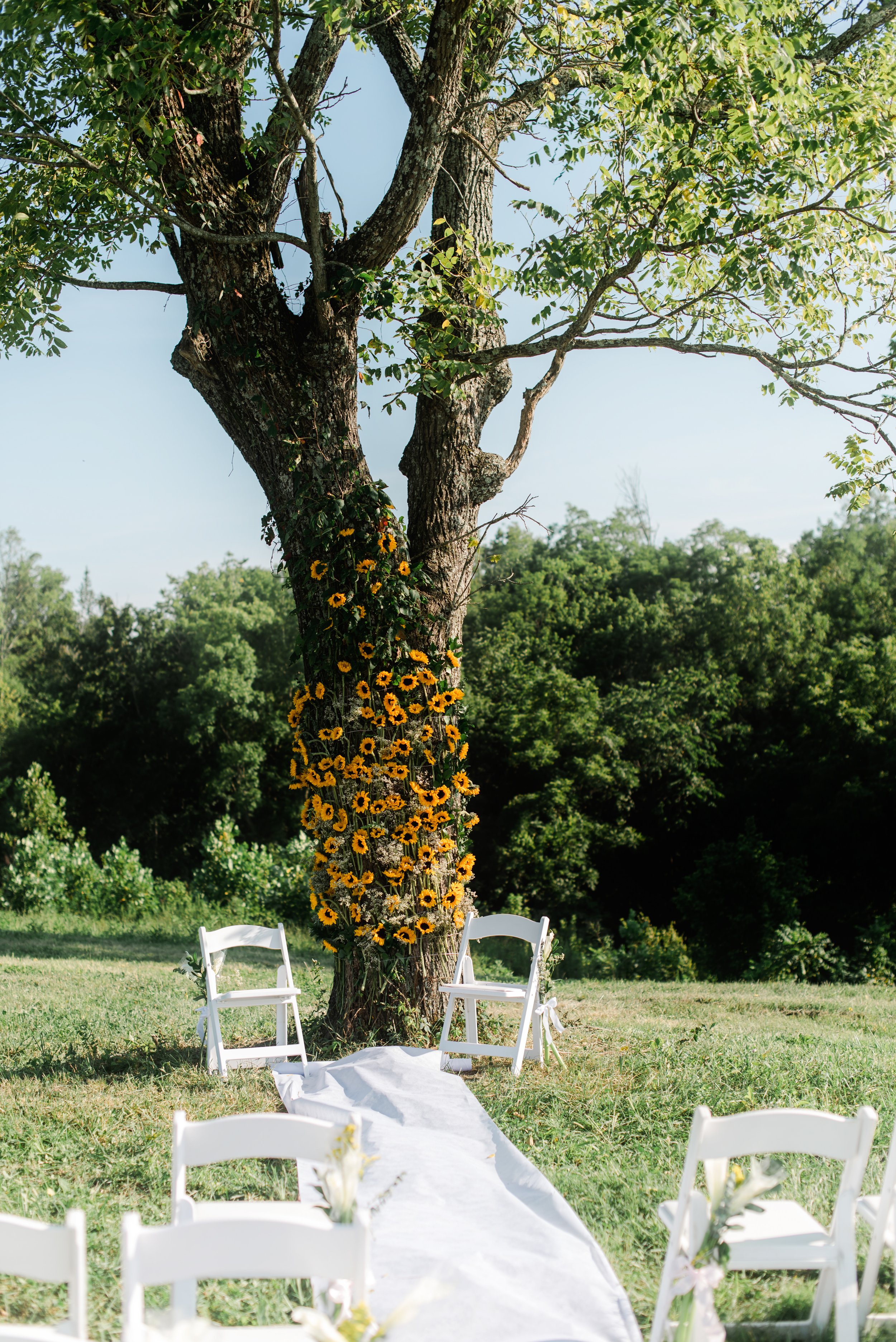 shutter&bloom (187 of 563).jpg