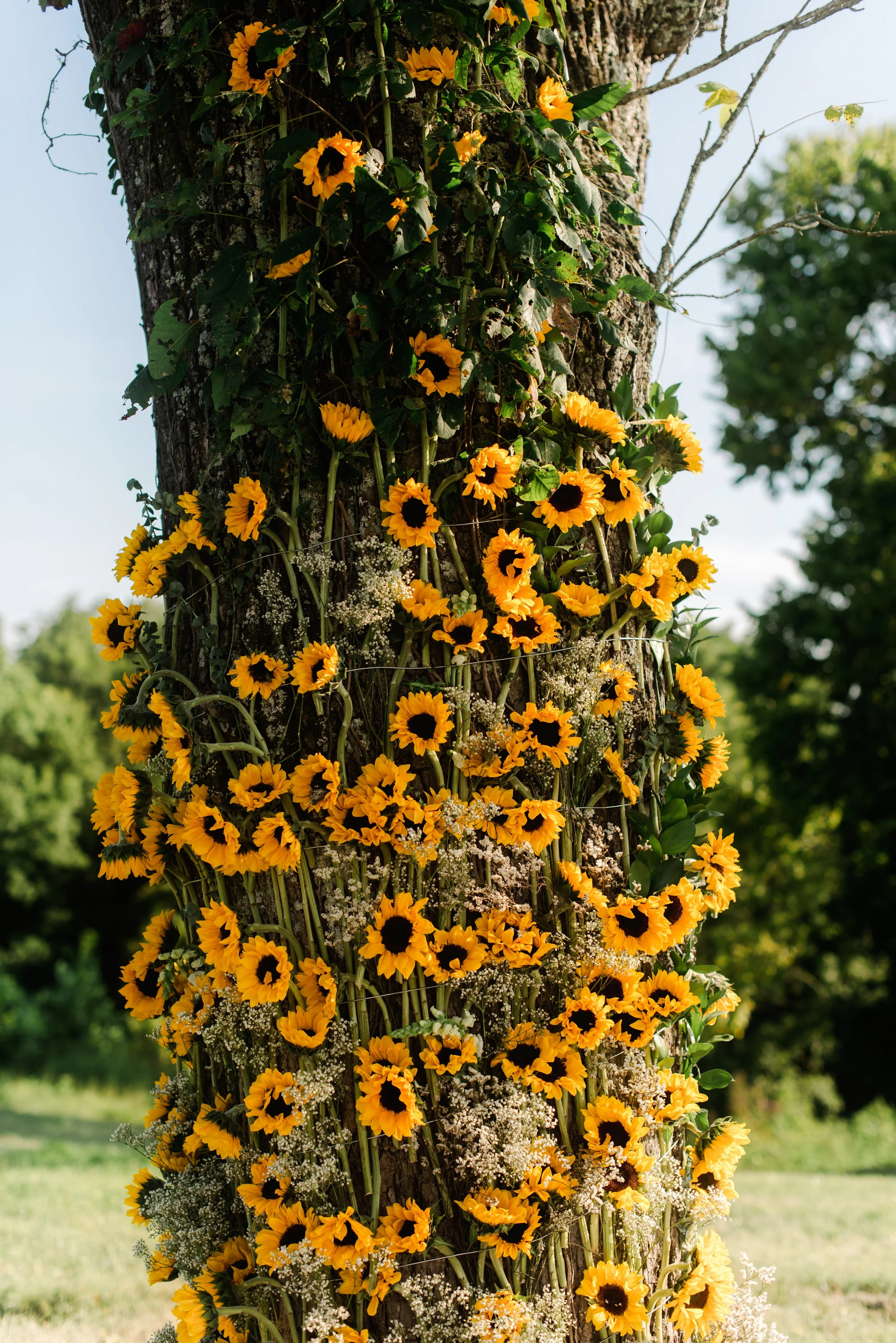 shutter&bloom (192 of 563).jpg