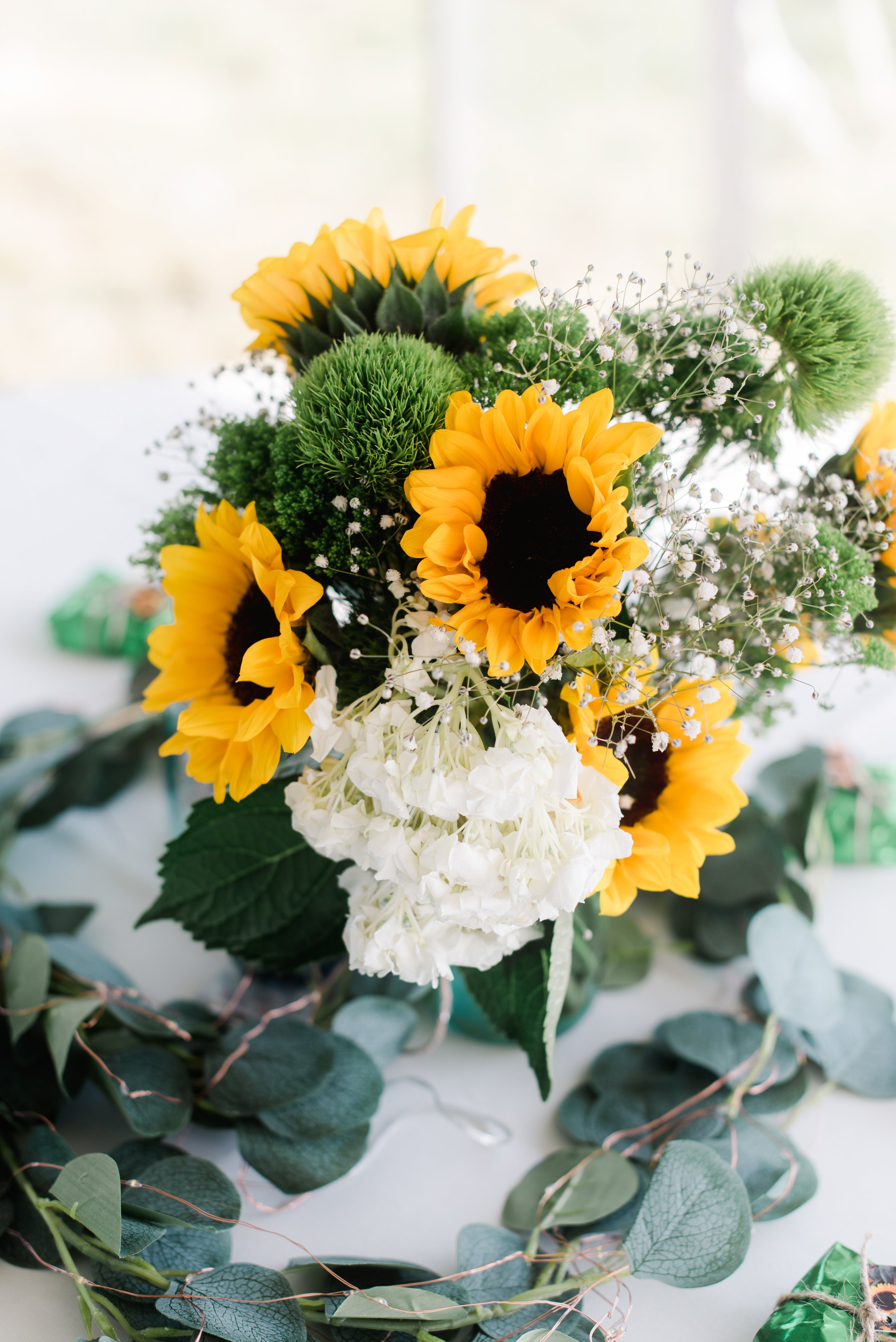 shutter&bloom (198 of 563).jpg