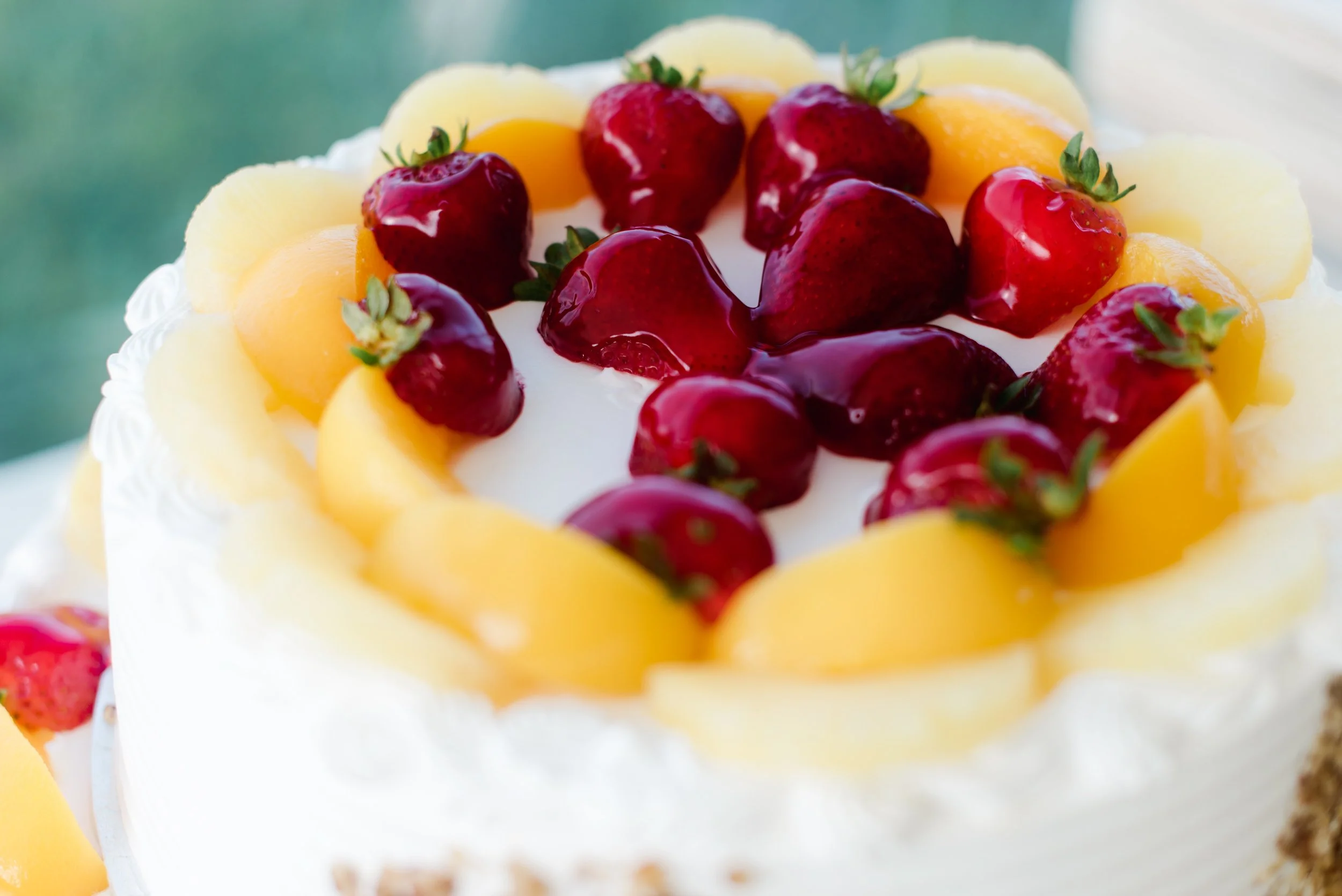 shutter&bloom (204 of 563).jpg