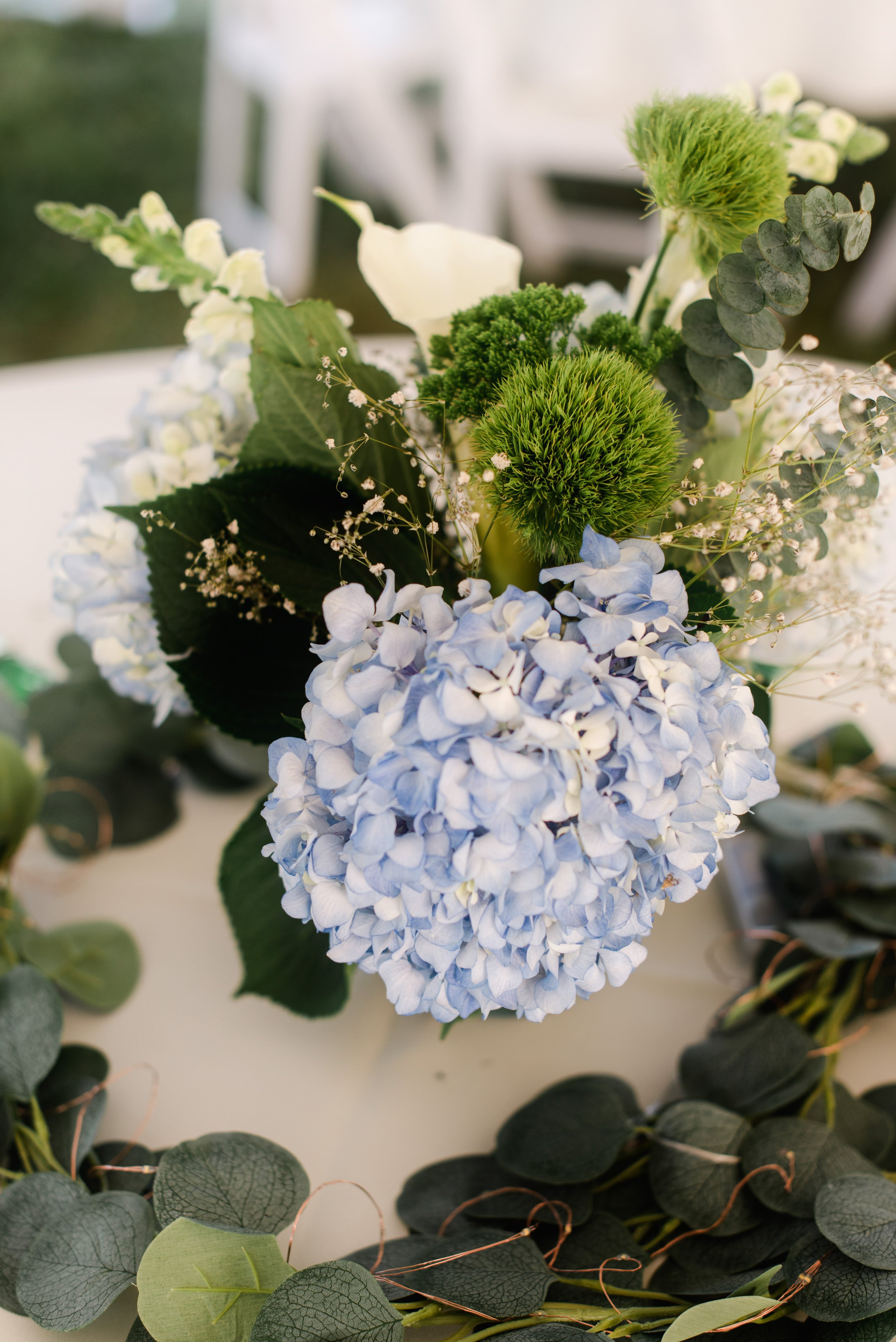 shutter&bloom (207 of 563).jpg