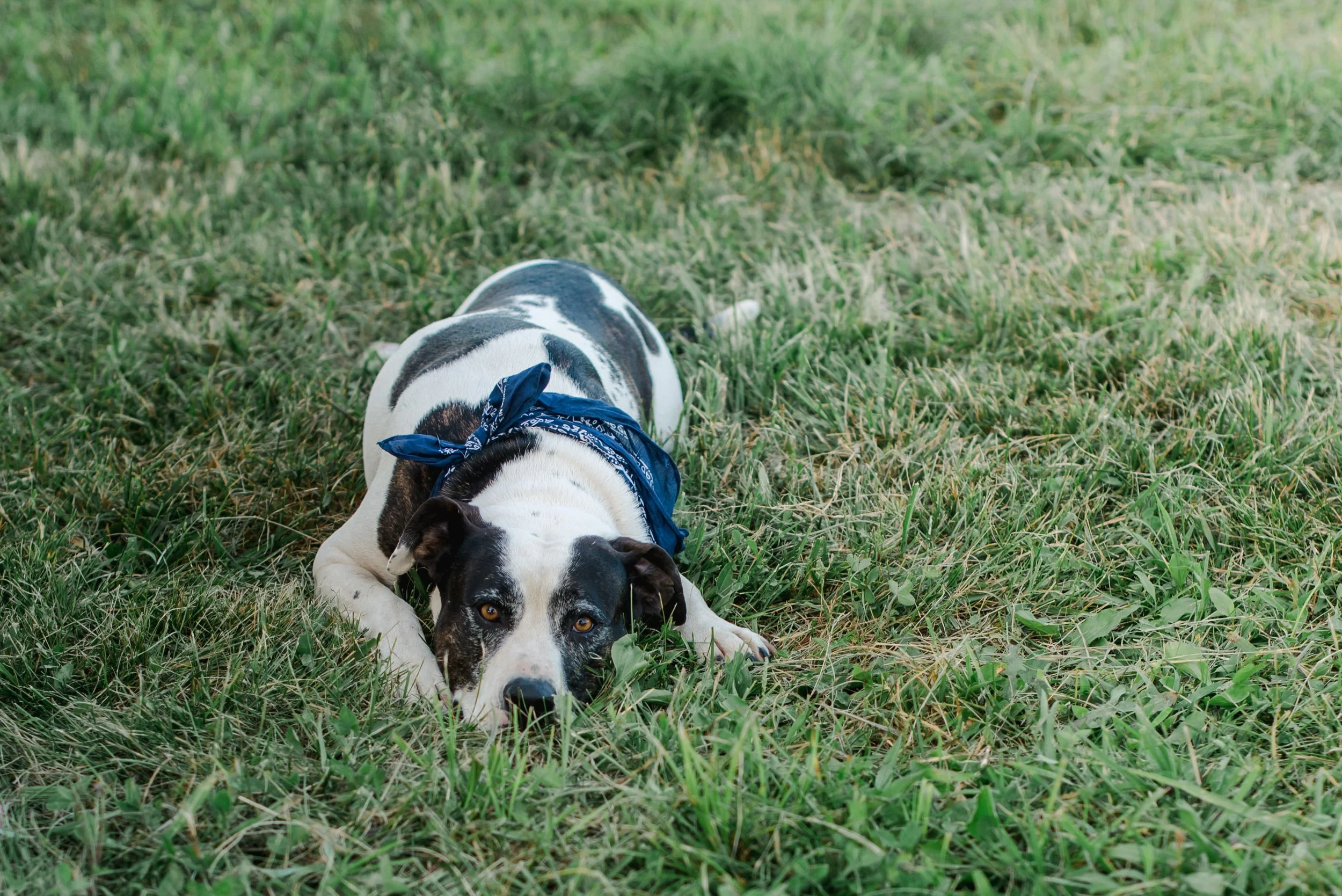 shutter&bloom (247 of 563).jpg