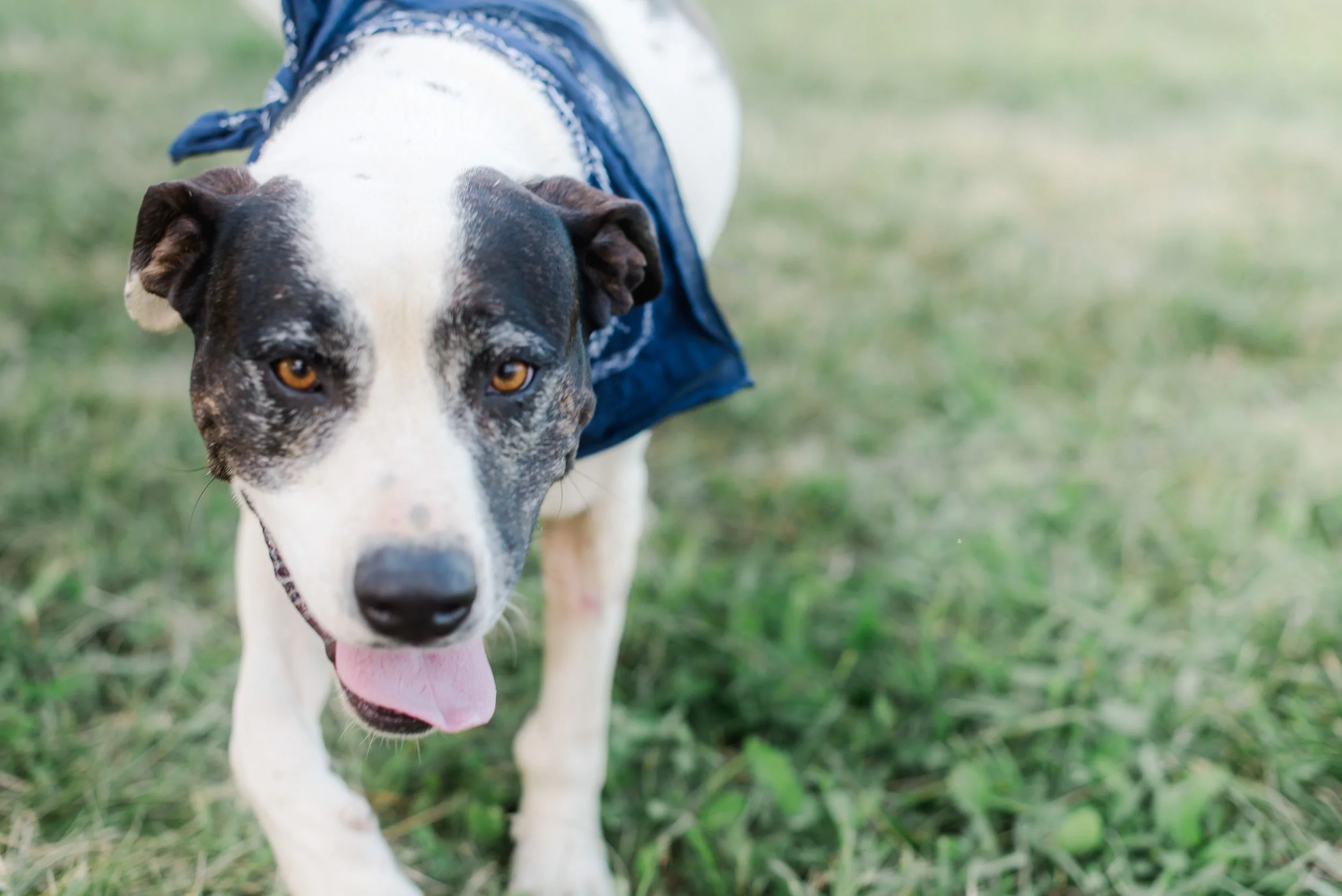 shutter&bloom (249 of 563).jpg