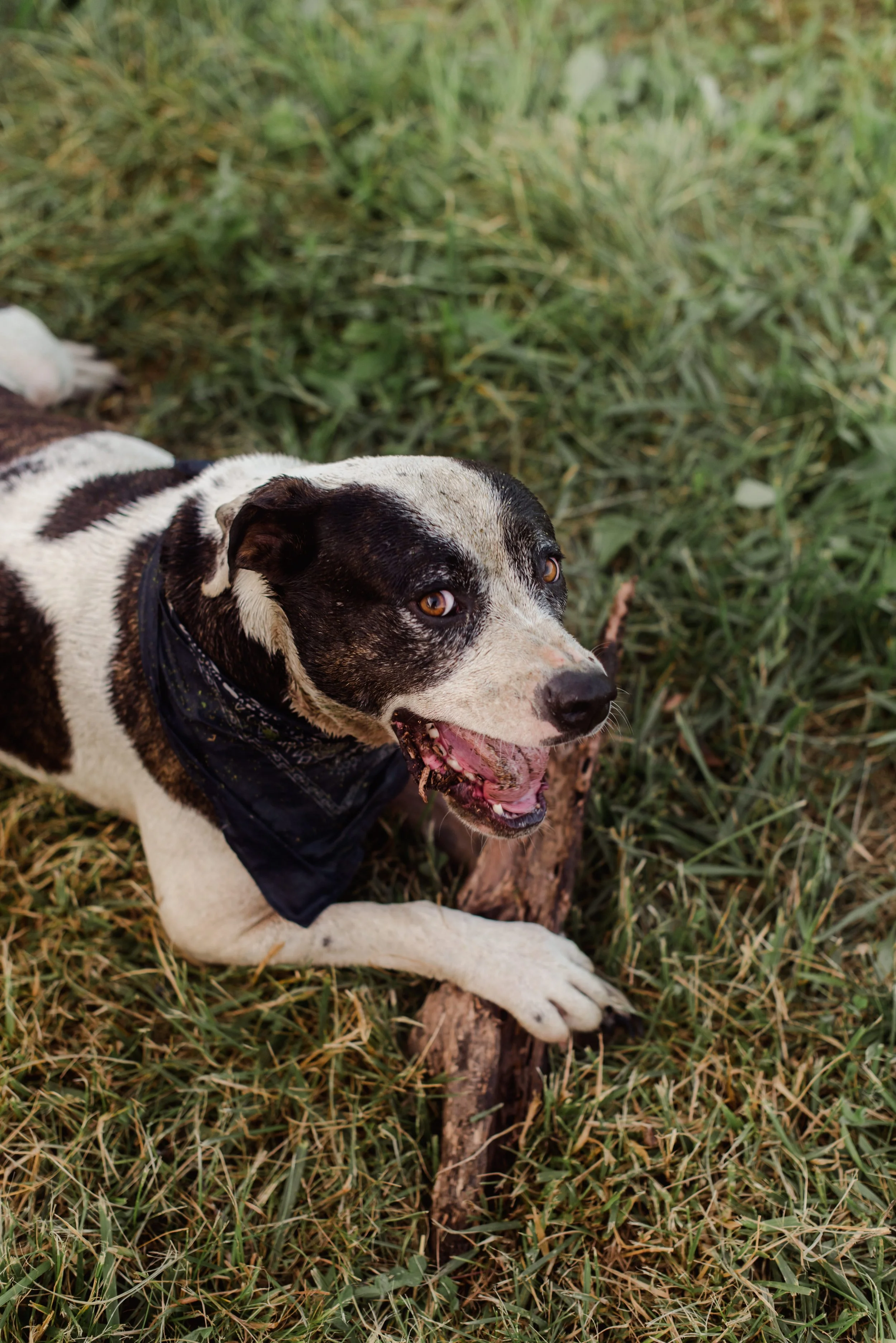 shutter&bloom (351 of 563).jpg