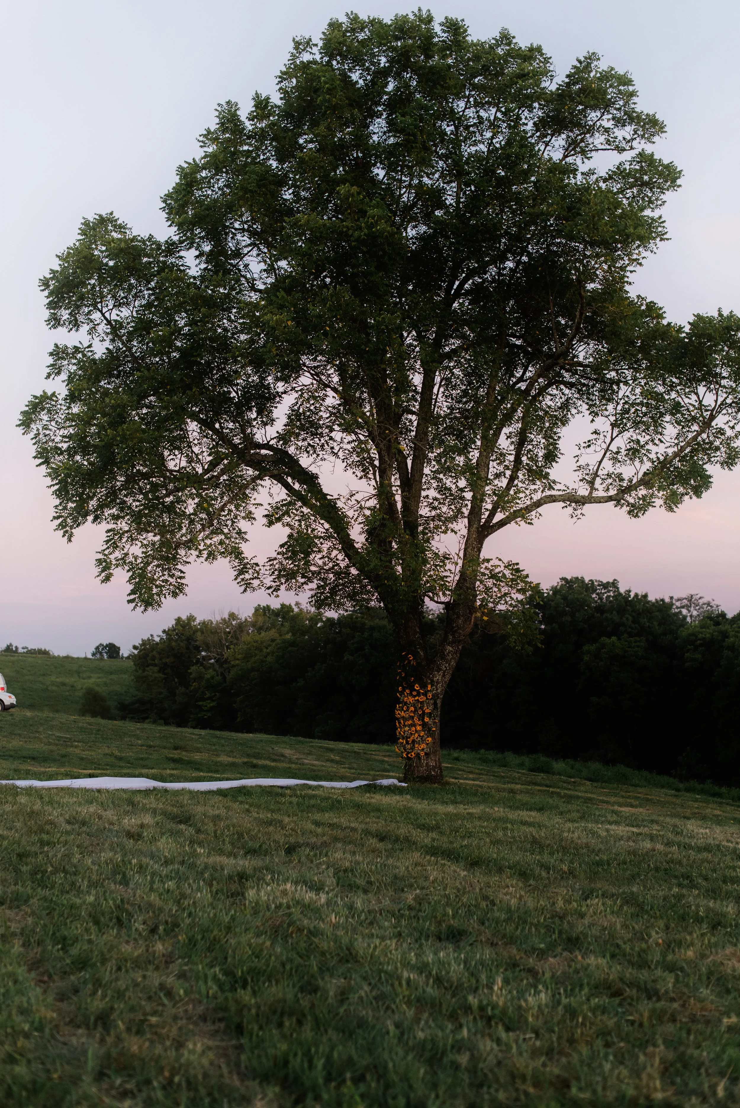 shutter&bloom (493 of 563).jpg