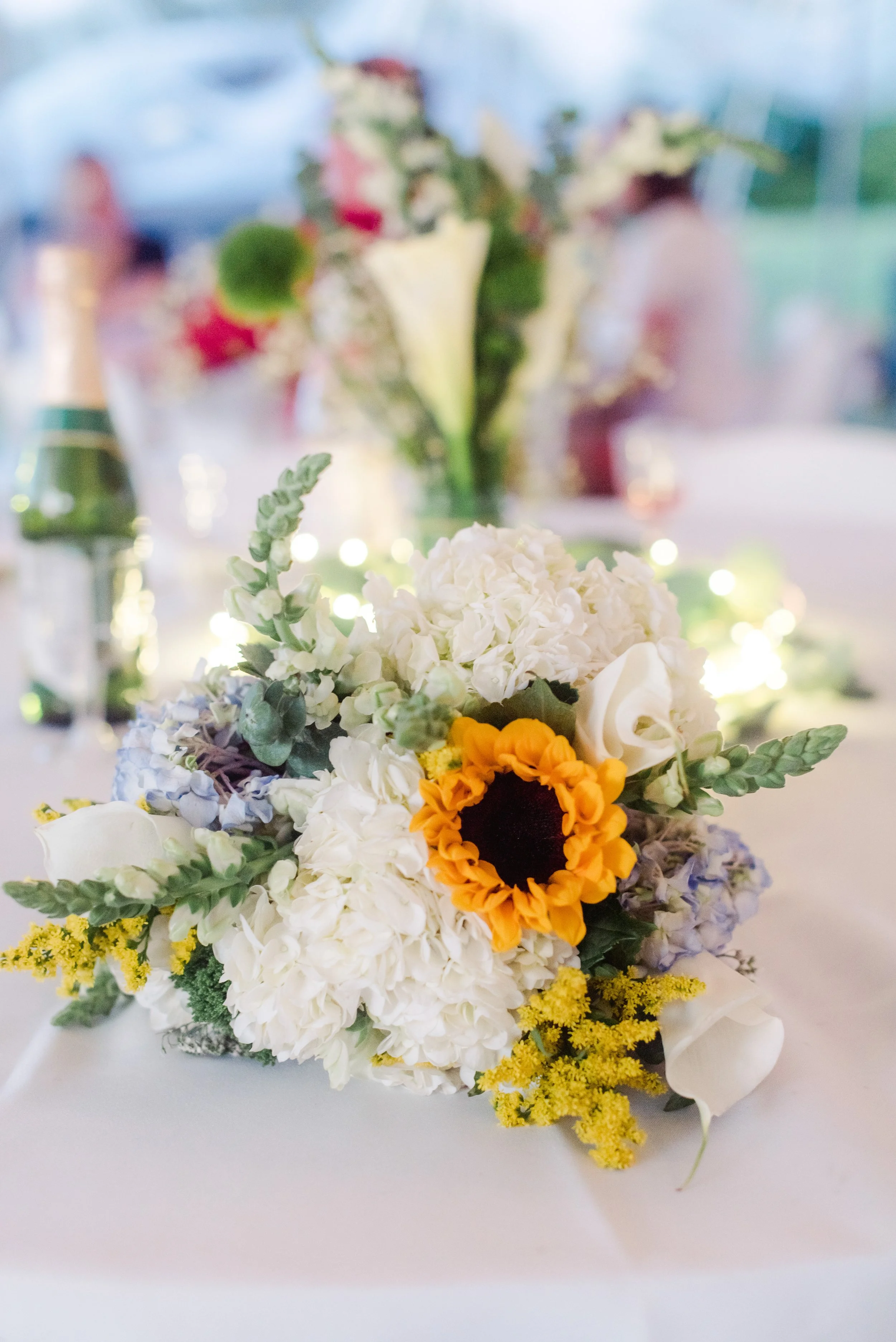 shutter&bloom (499 of 563).jpg