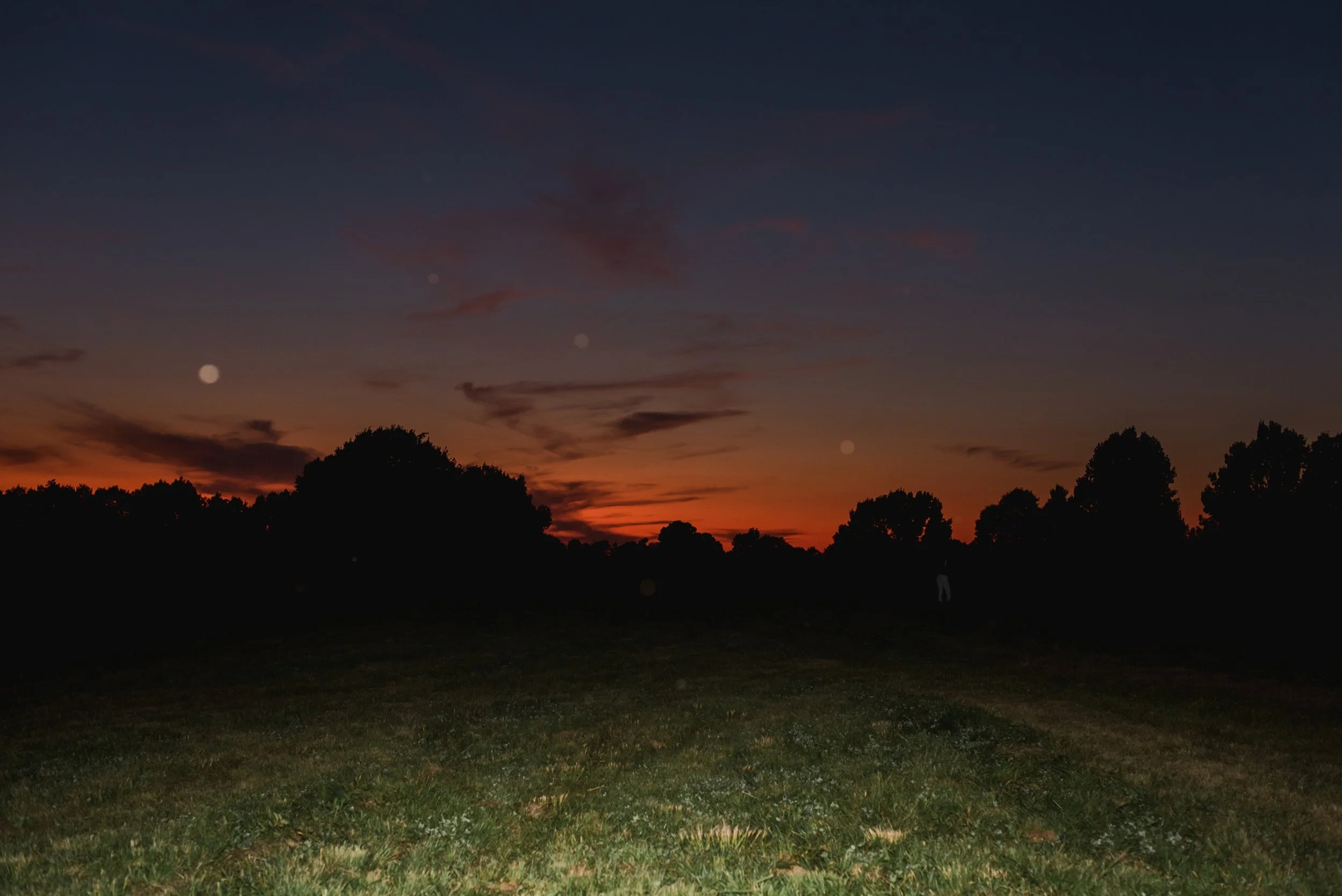 shutter&bloom (545 of 563).jpg