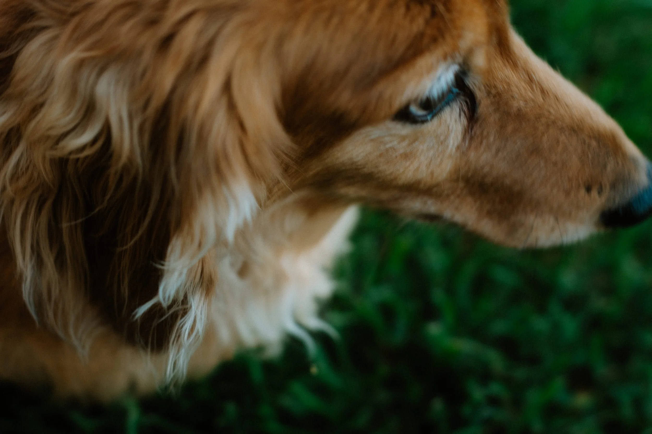 Shutter&BloomPhotography-41 (1).jpg