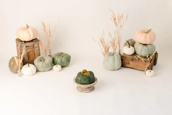 shutter&bloom (2 of 131).jpg