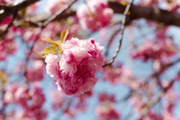shutter&bloomphotography-1094.jpg