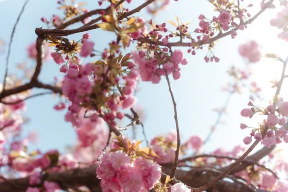 shutter&bloomphotography-1098.jpg