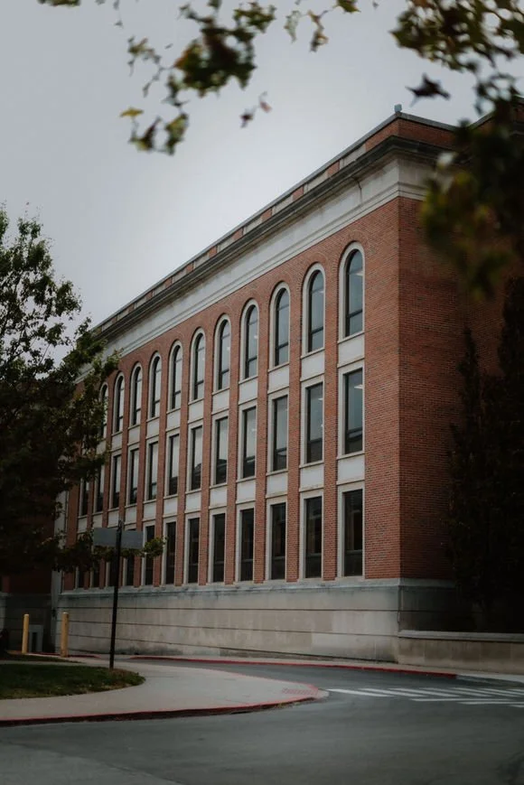 SHUTTER&BLOOM2024-1 (1).jpg