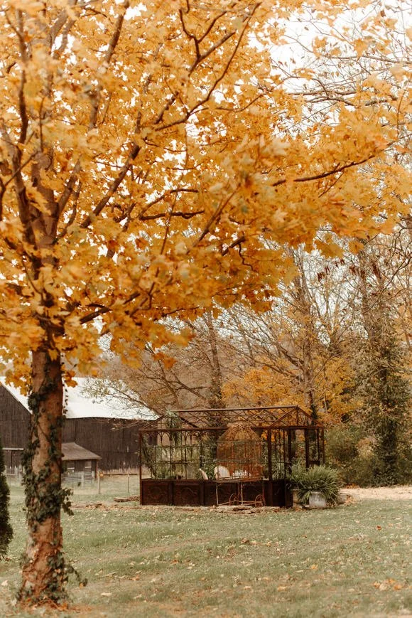 Shutter & Bloom Photo Co -7 (1).jpg