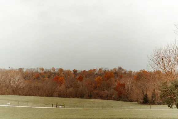 Shutter & Bloom Photo Co -35.jpg